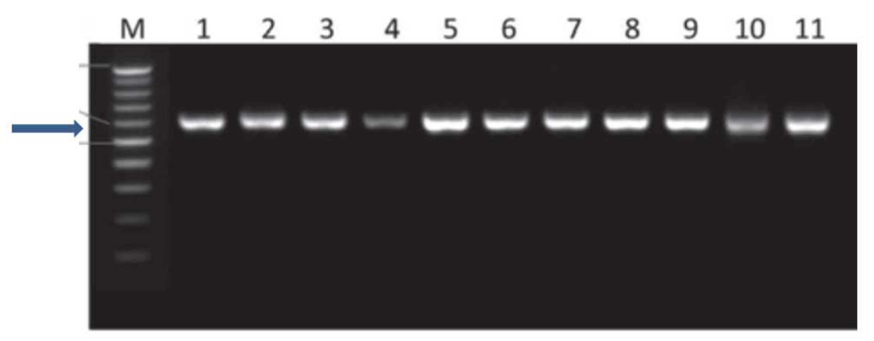 Agriculture 12 00345 g002