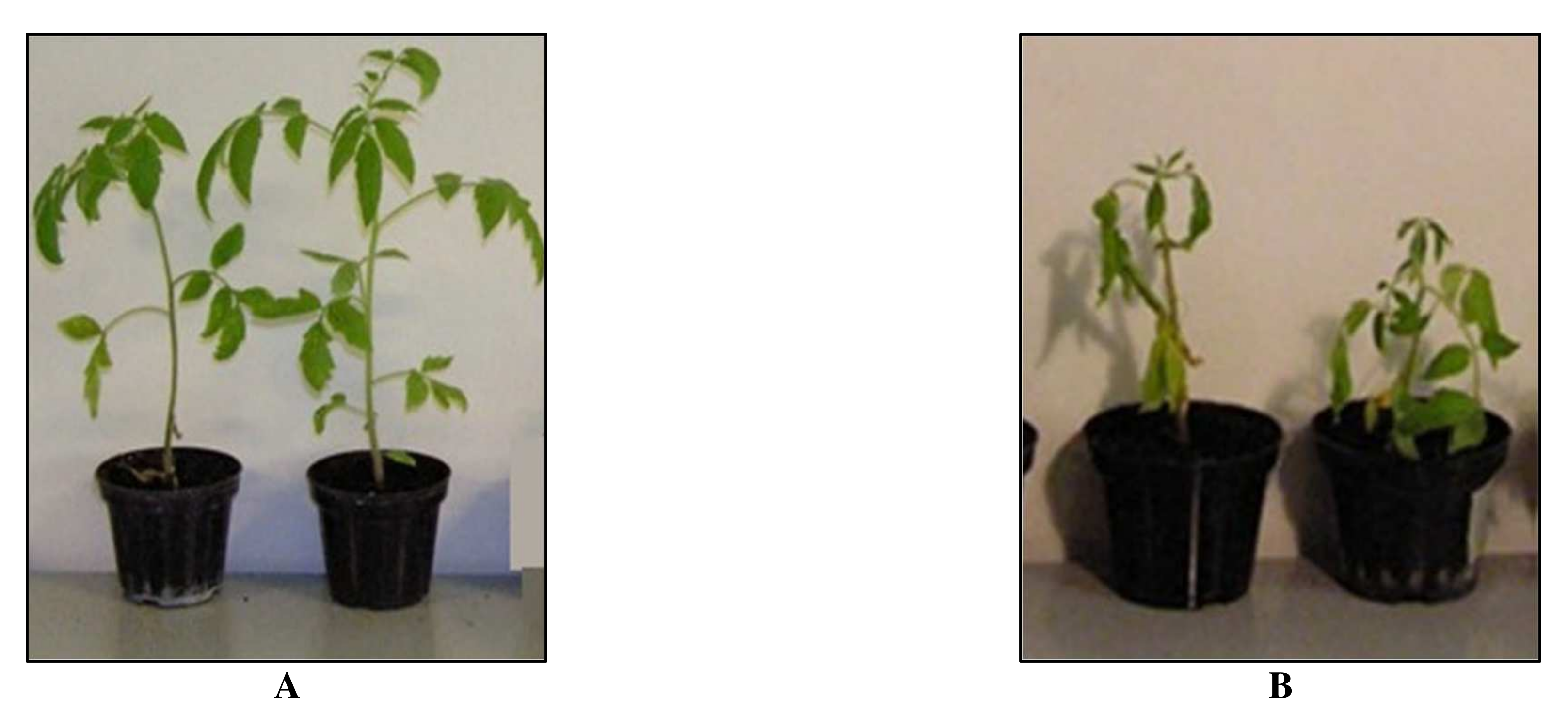 Agriculture 12 00345 g003