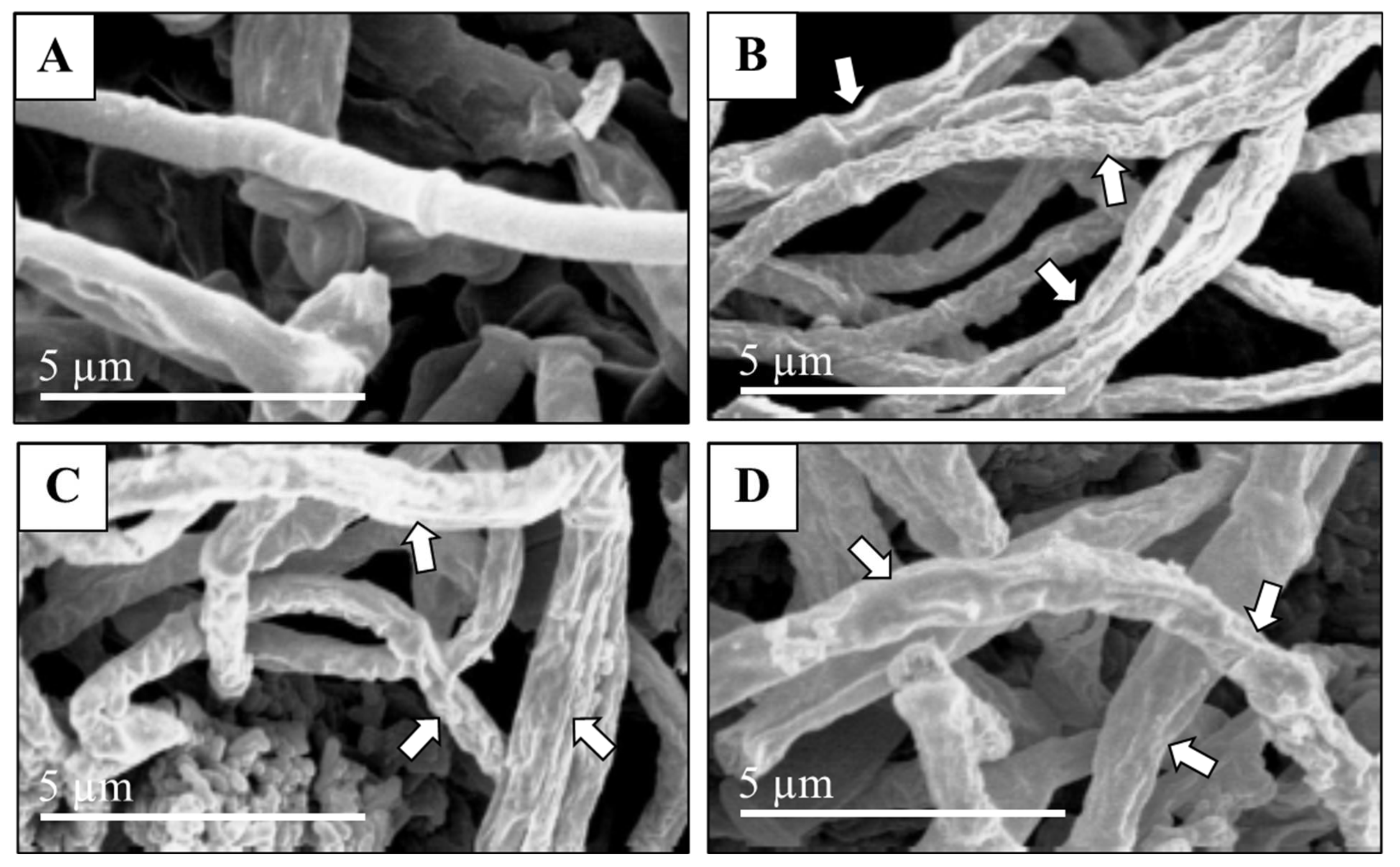Agriculture 12 00345 g010