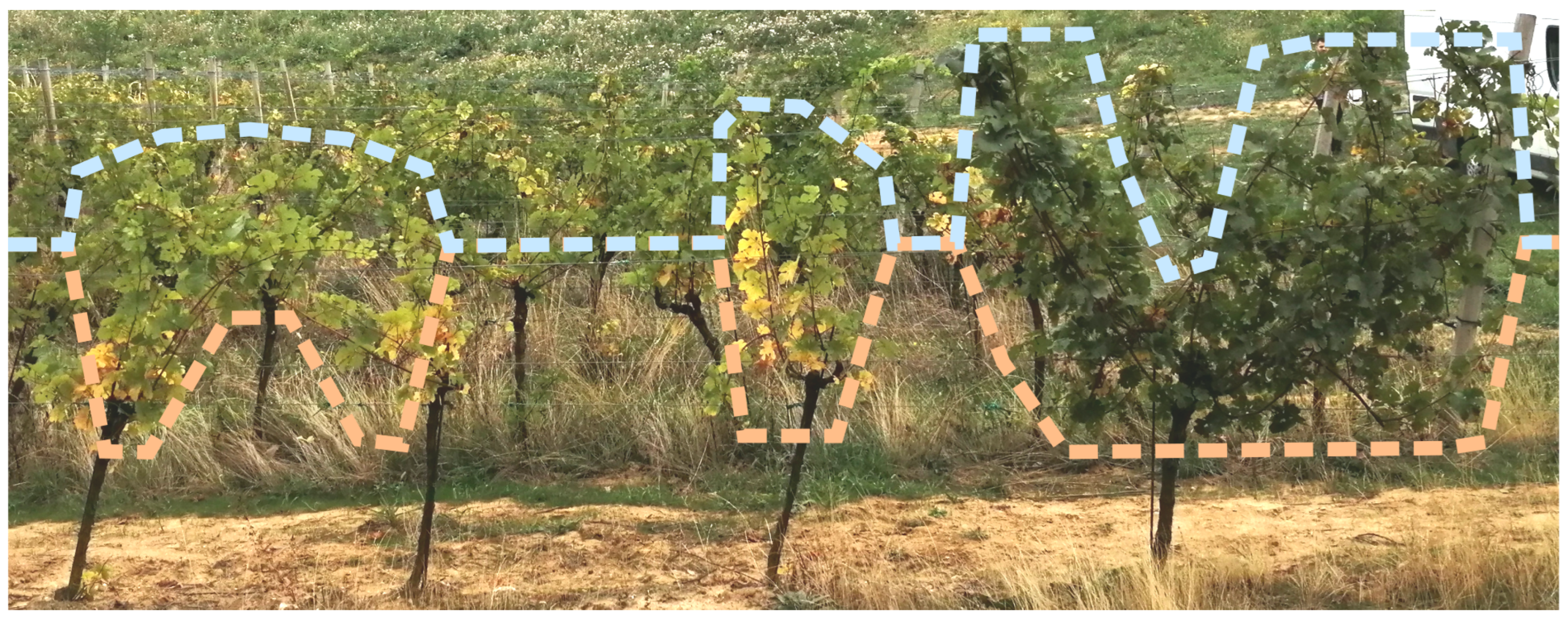 Agriculture 12 00381 g009 Agriculture 12 00381 g009