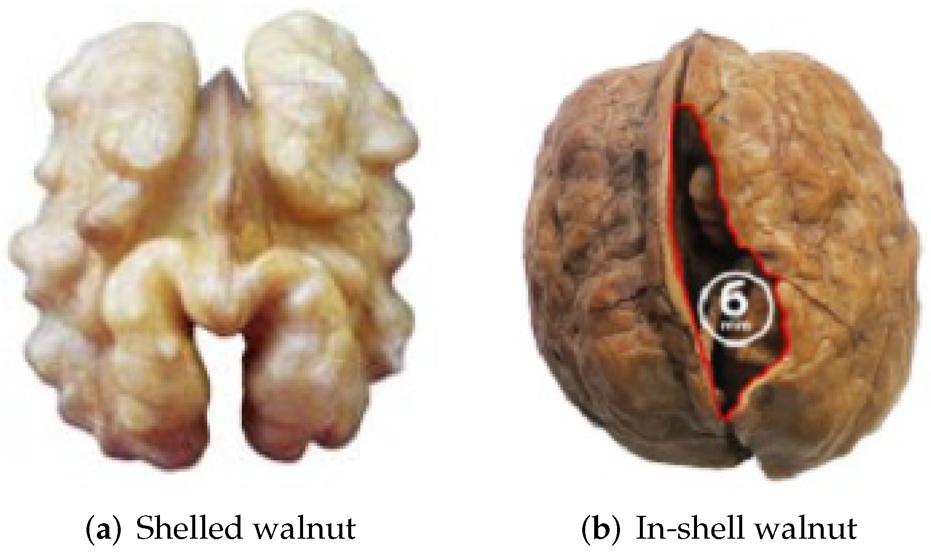 Agriculture | Free Full-Text | Web-Based Integer Programming Decision  Support System for Walnut Processing Planning: The MeliFen Case