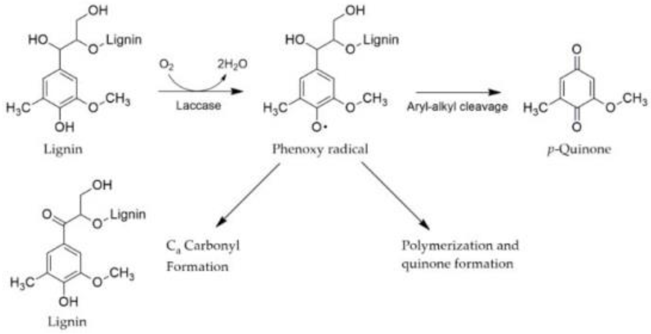 Agriculture 12 00534 g001