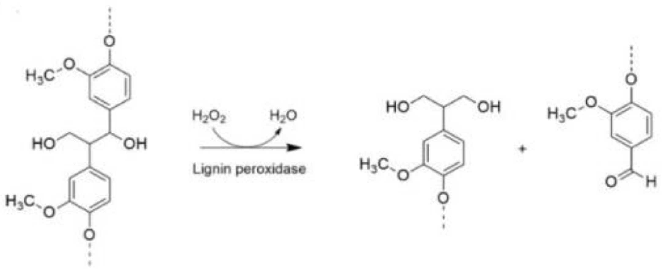 Agriculture 12 00534 g002