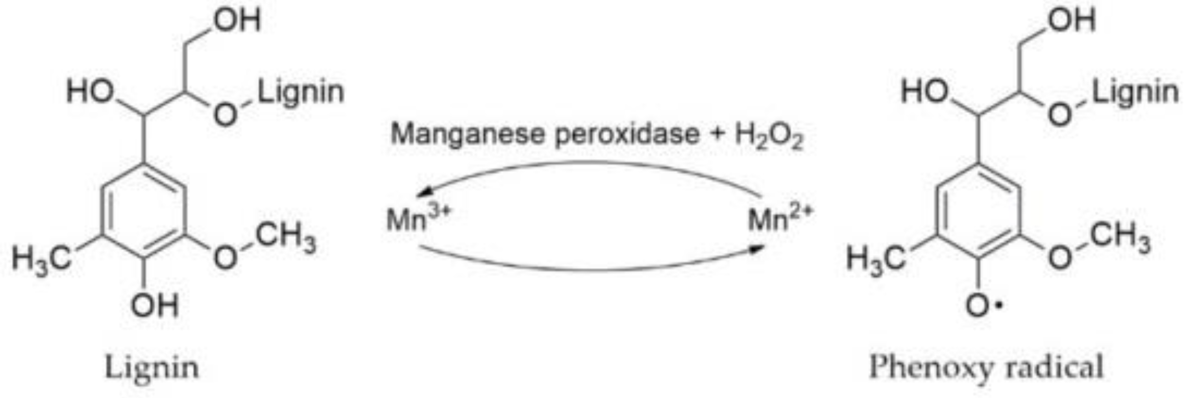 Agriculture 12 00534 g003