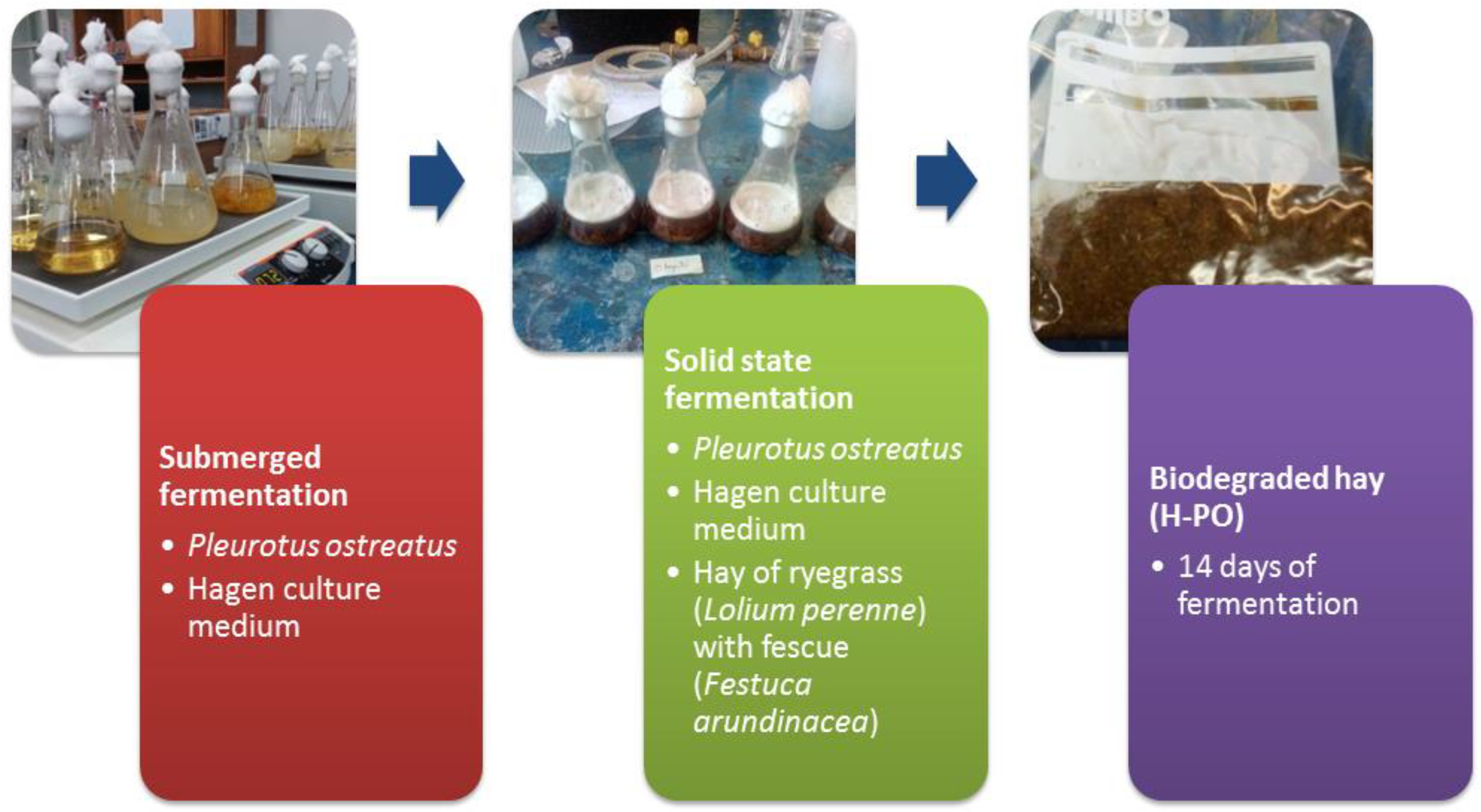 Agriculture 12 00534 g005