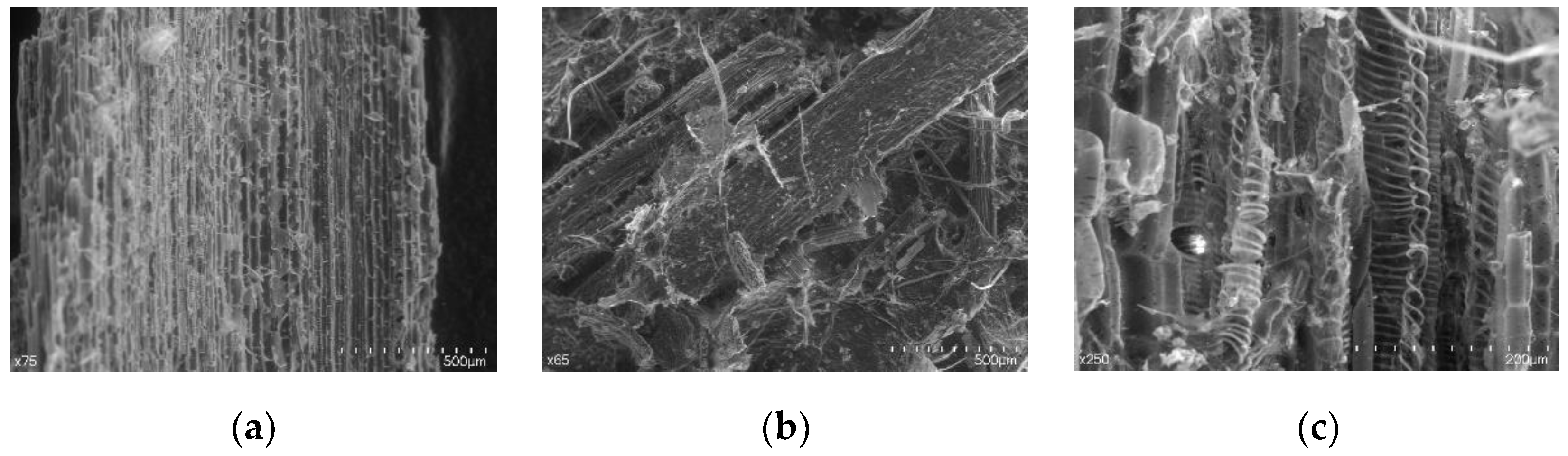 Agriculture 12 00534 g006