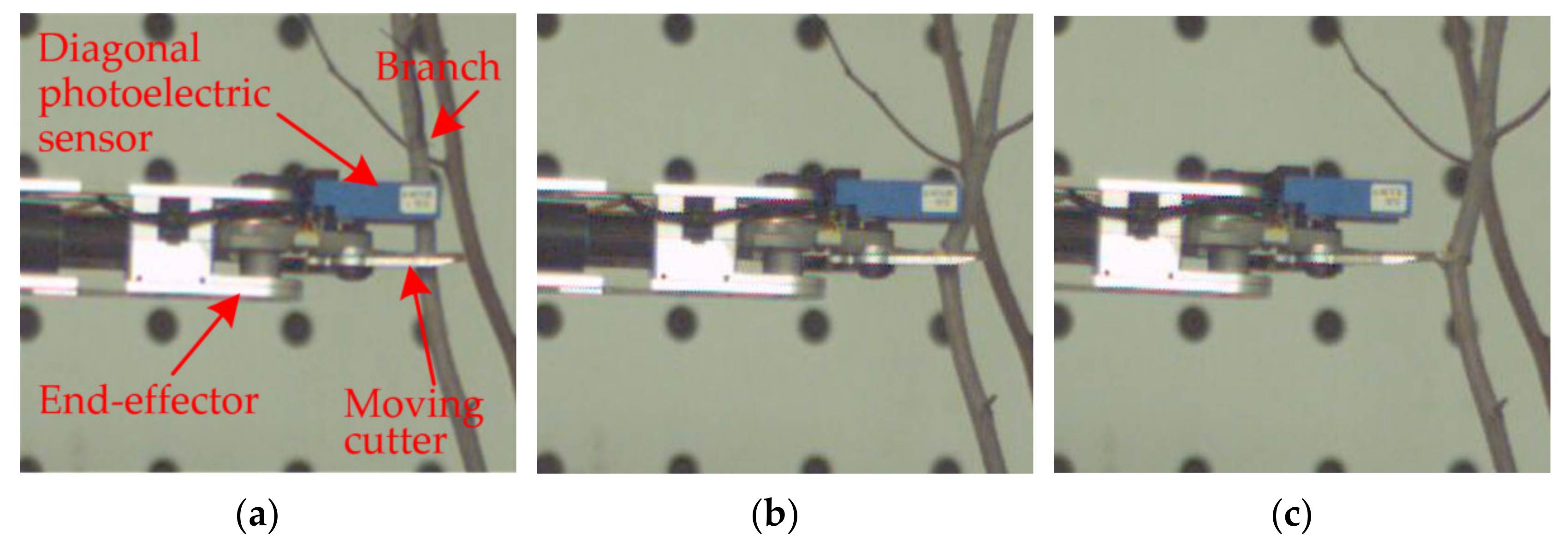 Agriculture 12 00552 g015