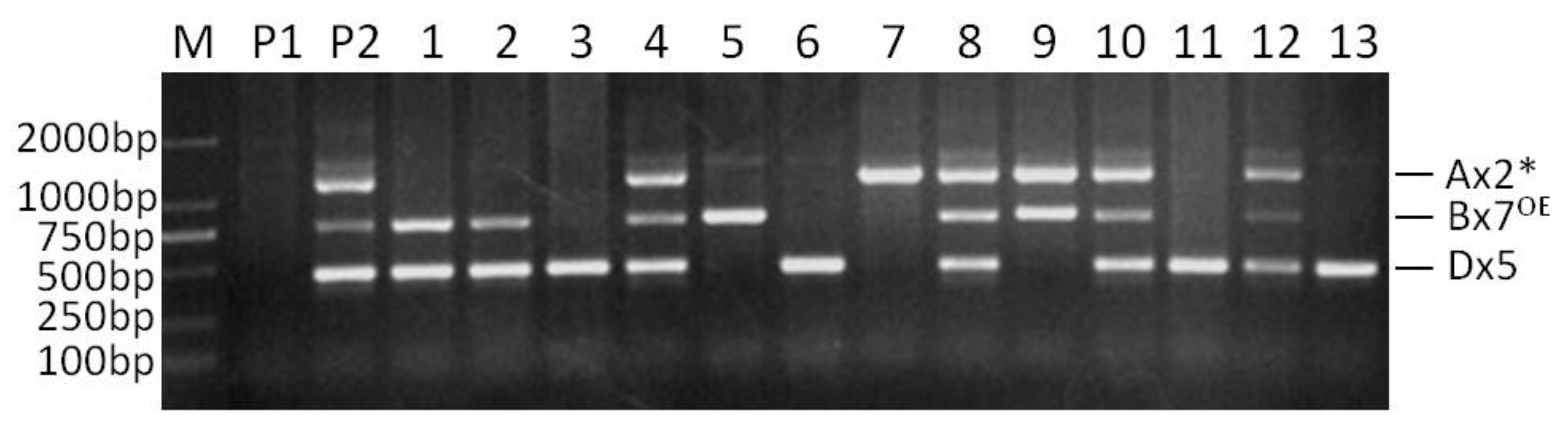 Agriculture 12 00556 g001