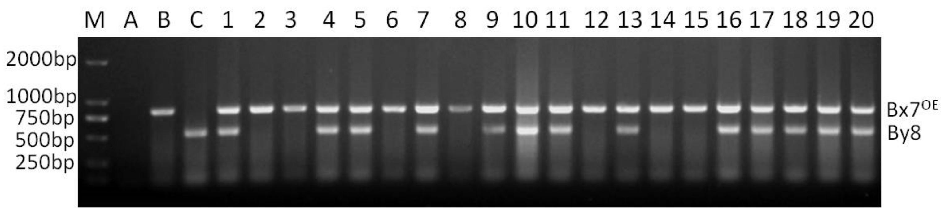 Agriculture 12 00556 g003