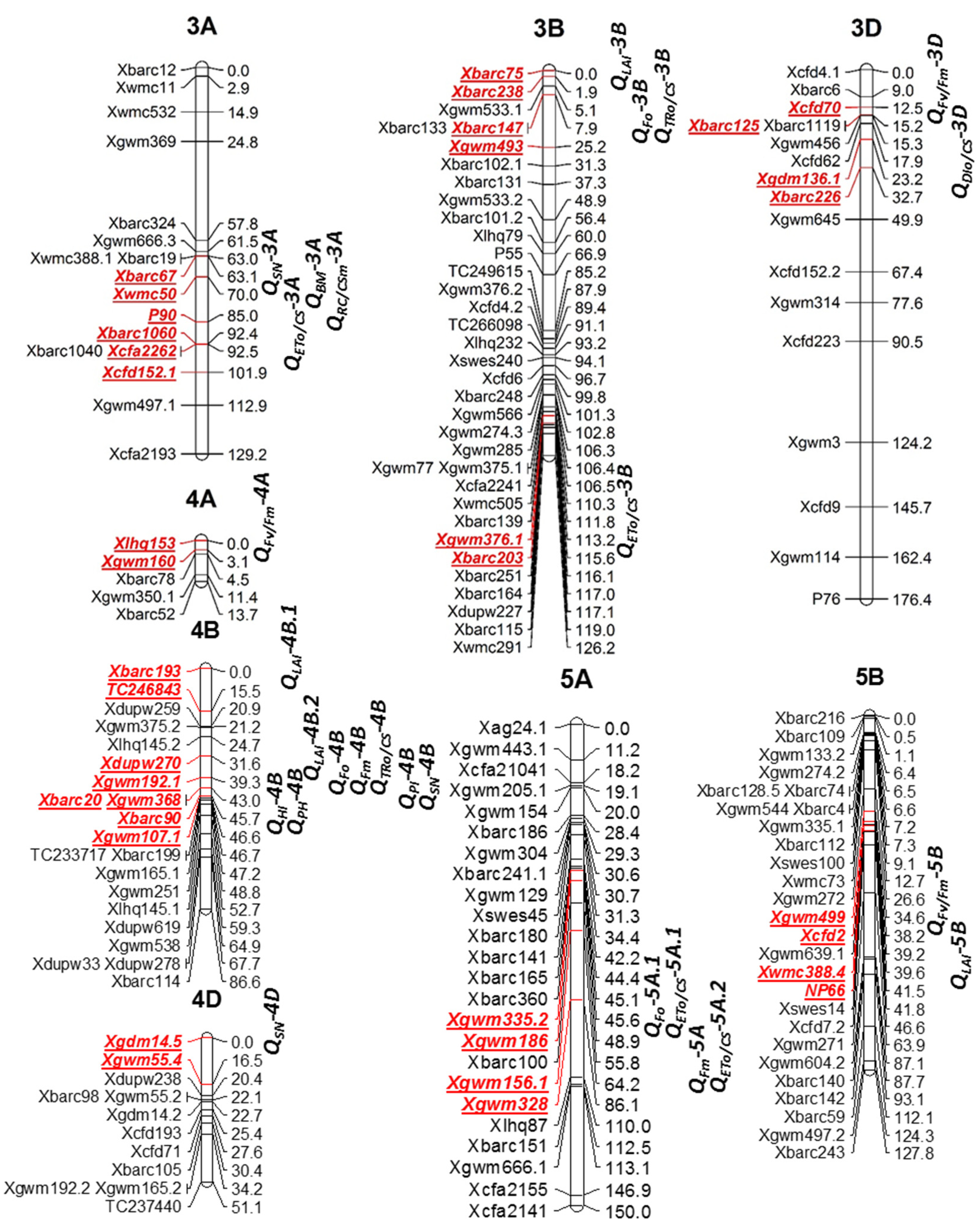 Agriculture 12 00560 g001b