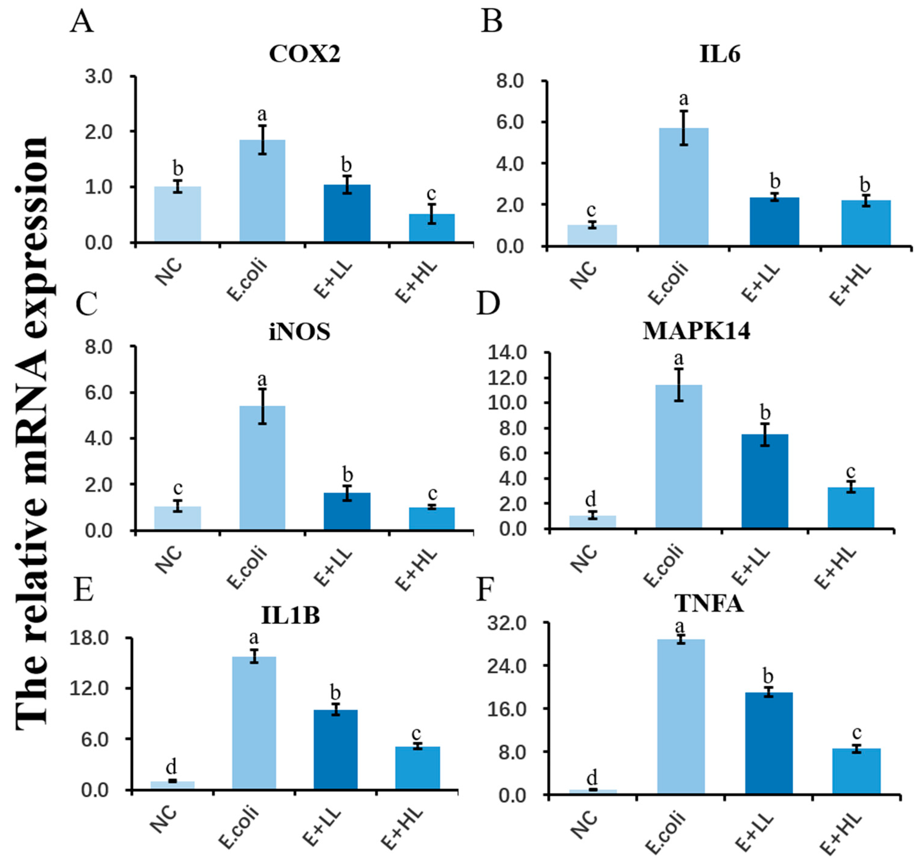 Agriculture 12 00598 g003