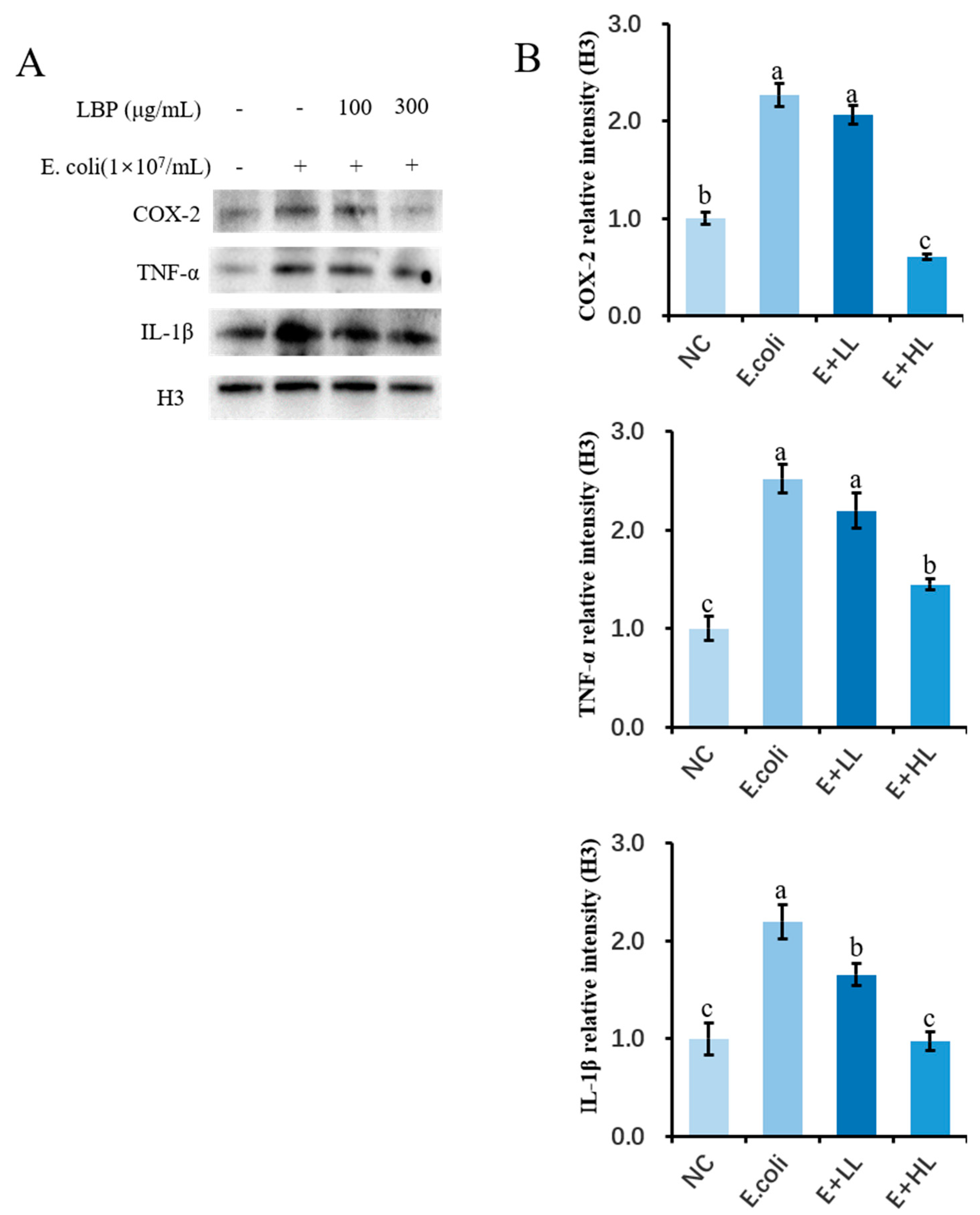 Agriculture 12 00598 g006