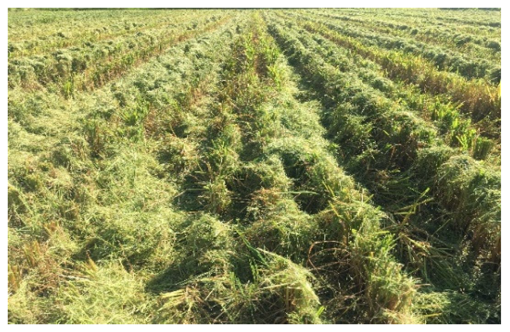 Agriculture 12 00620 g003