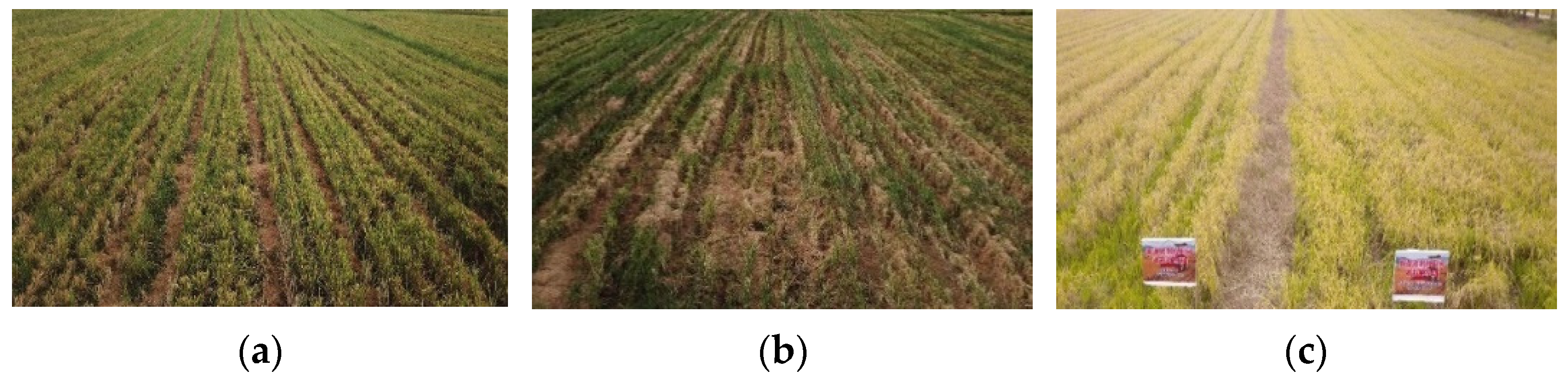 Agriculture 12 00620 g007