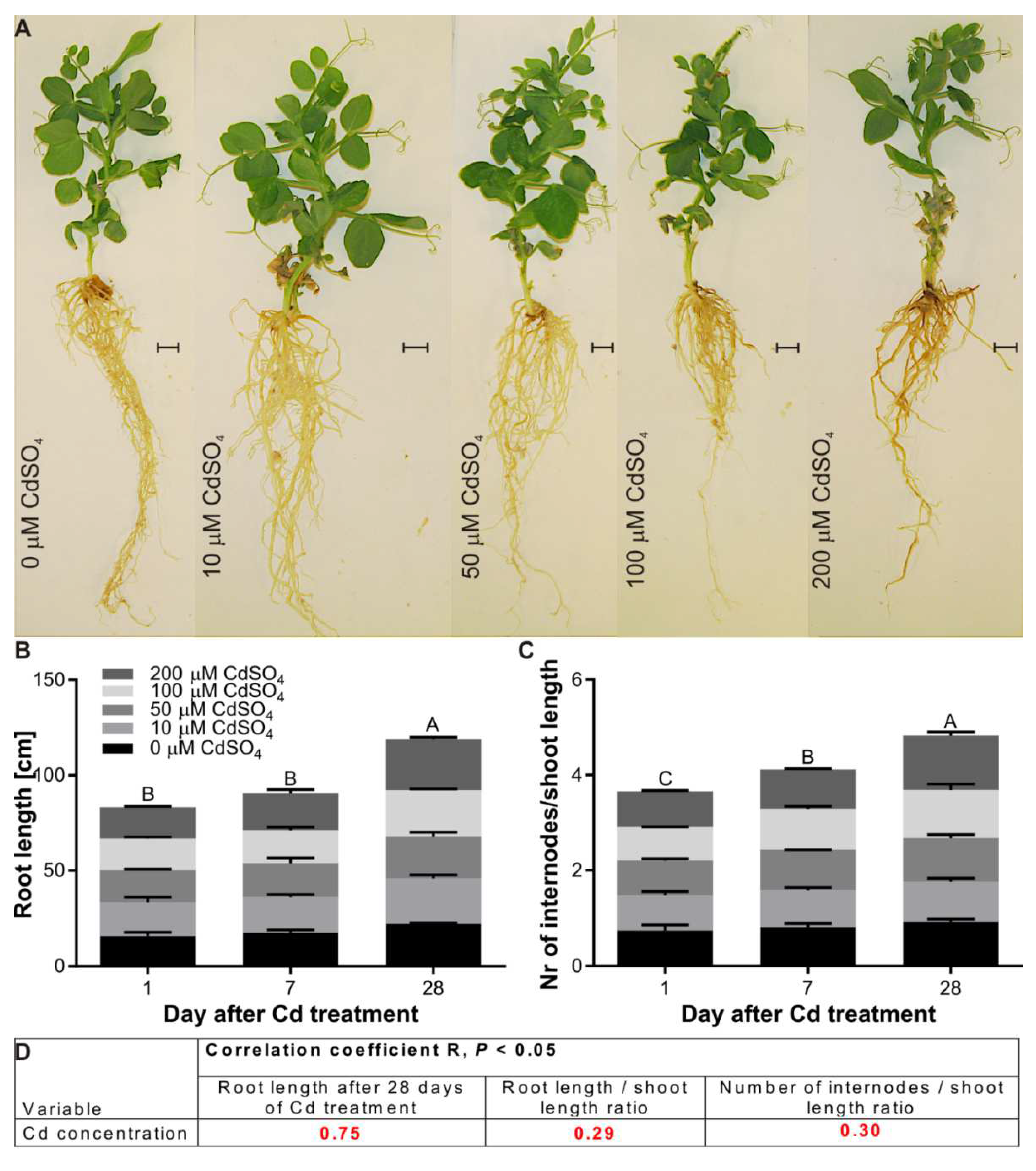 Agriculture 12 00637 g003
