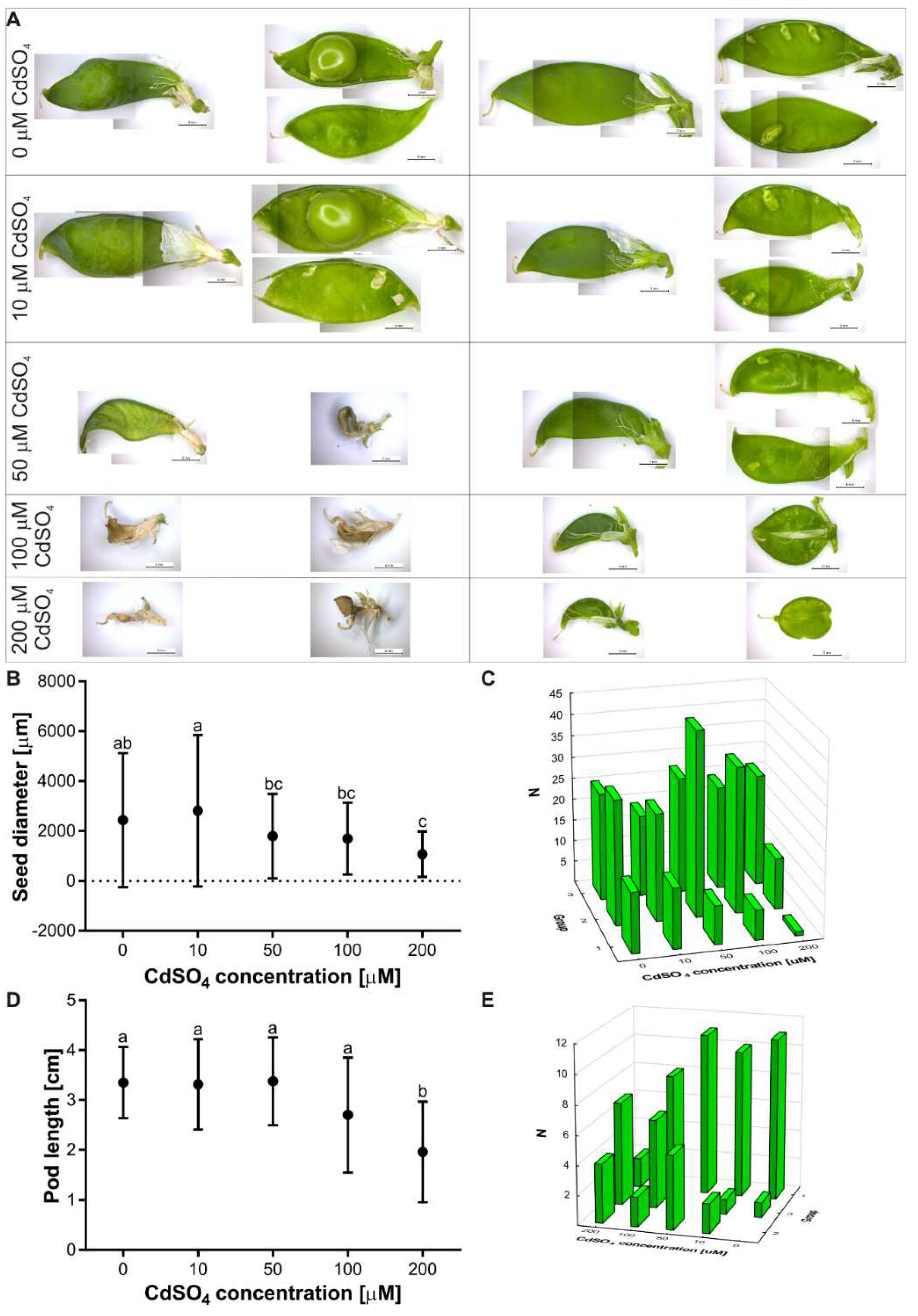 Agriculture 12 00637 g005