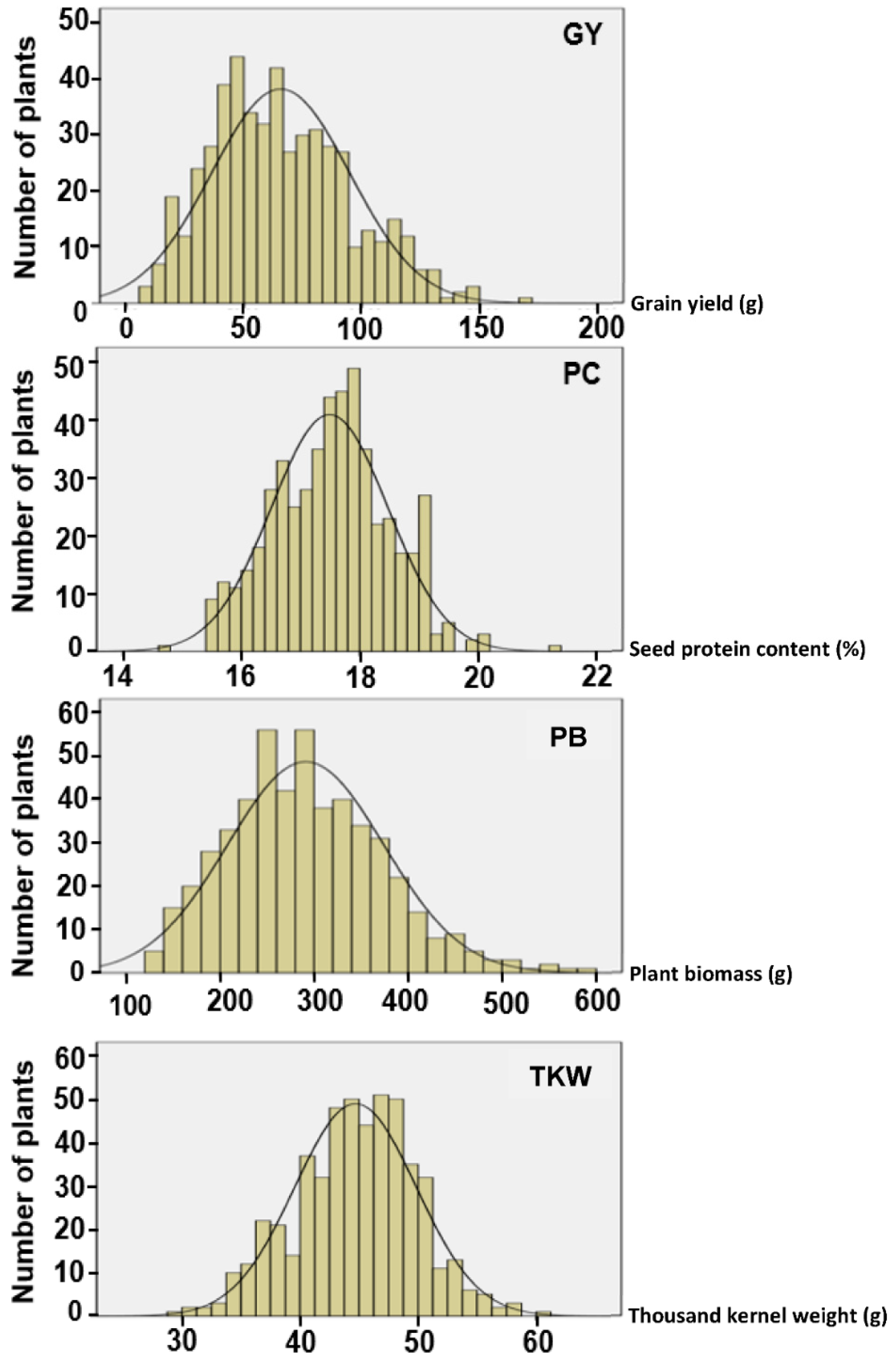 One-thousand grain weight and grain yield of 26 hybrids rice grown