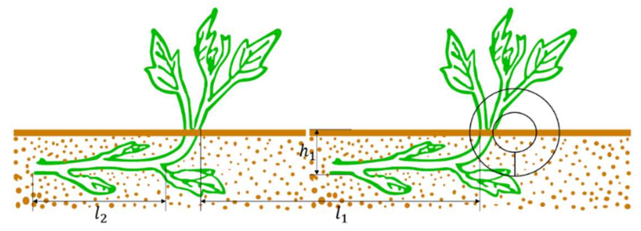 Agriculture 12 00675 g002
