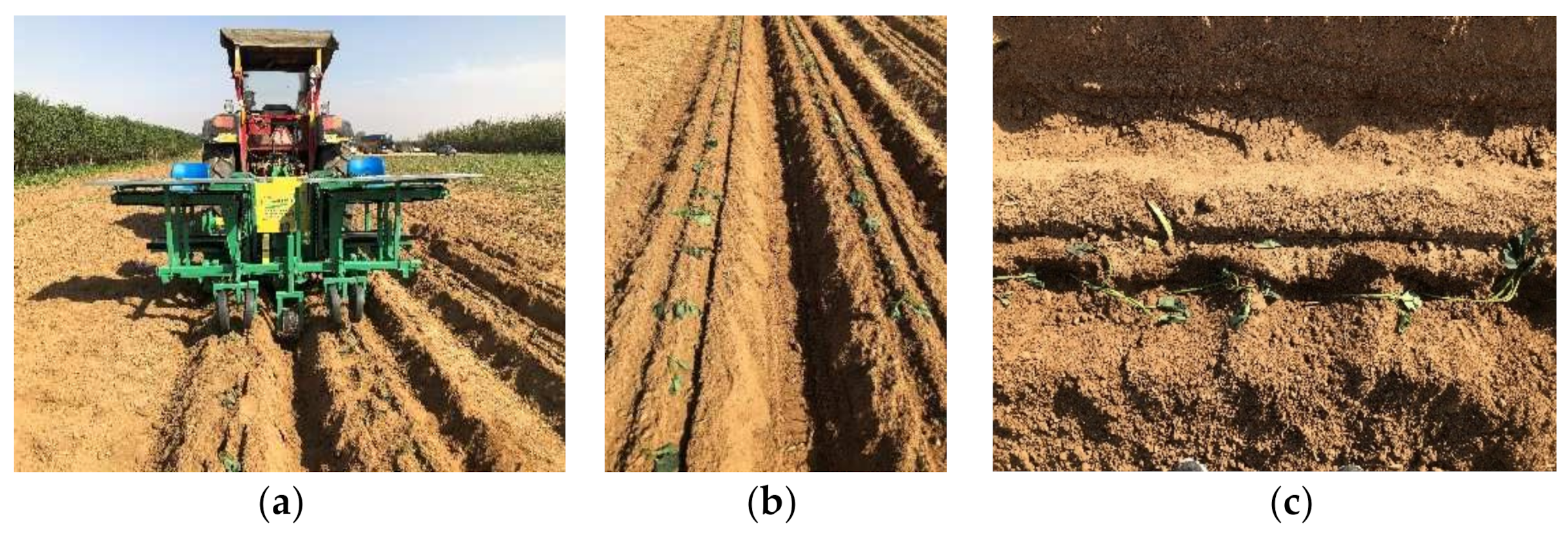 Agriculture 12 00675 g009