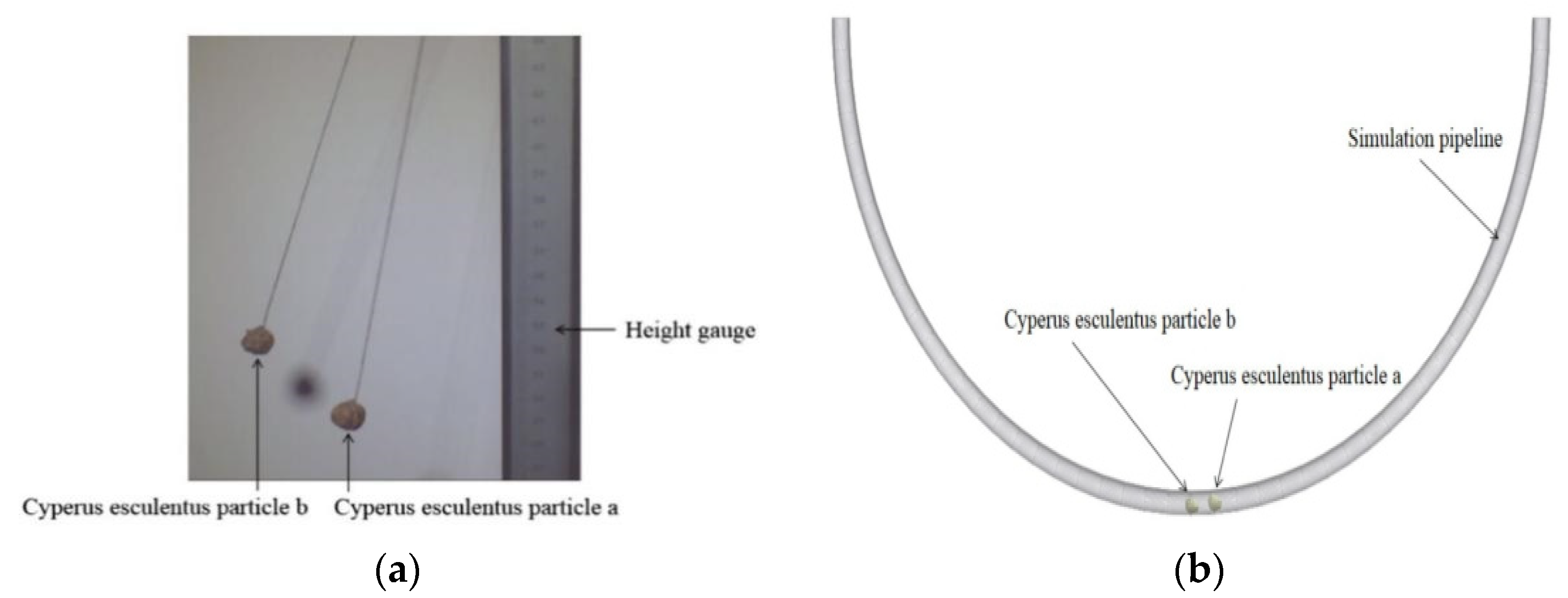 Agriculture 12 00706 g009
