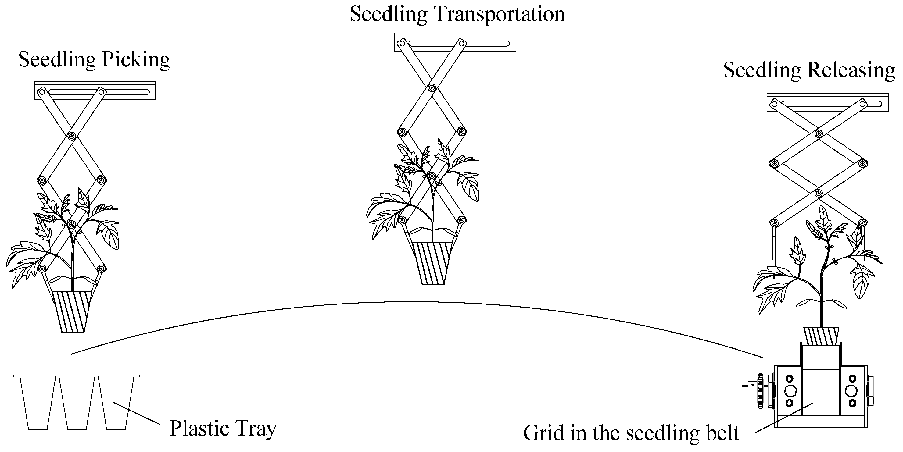 Agriculture 12 00707 g003