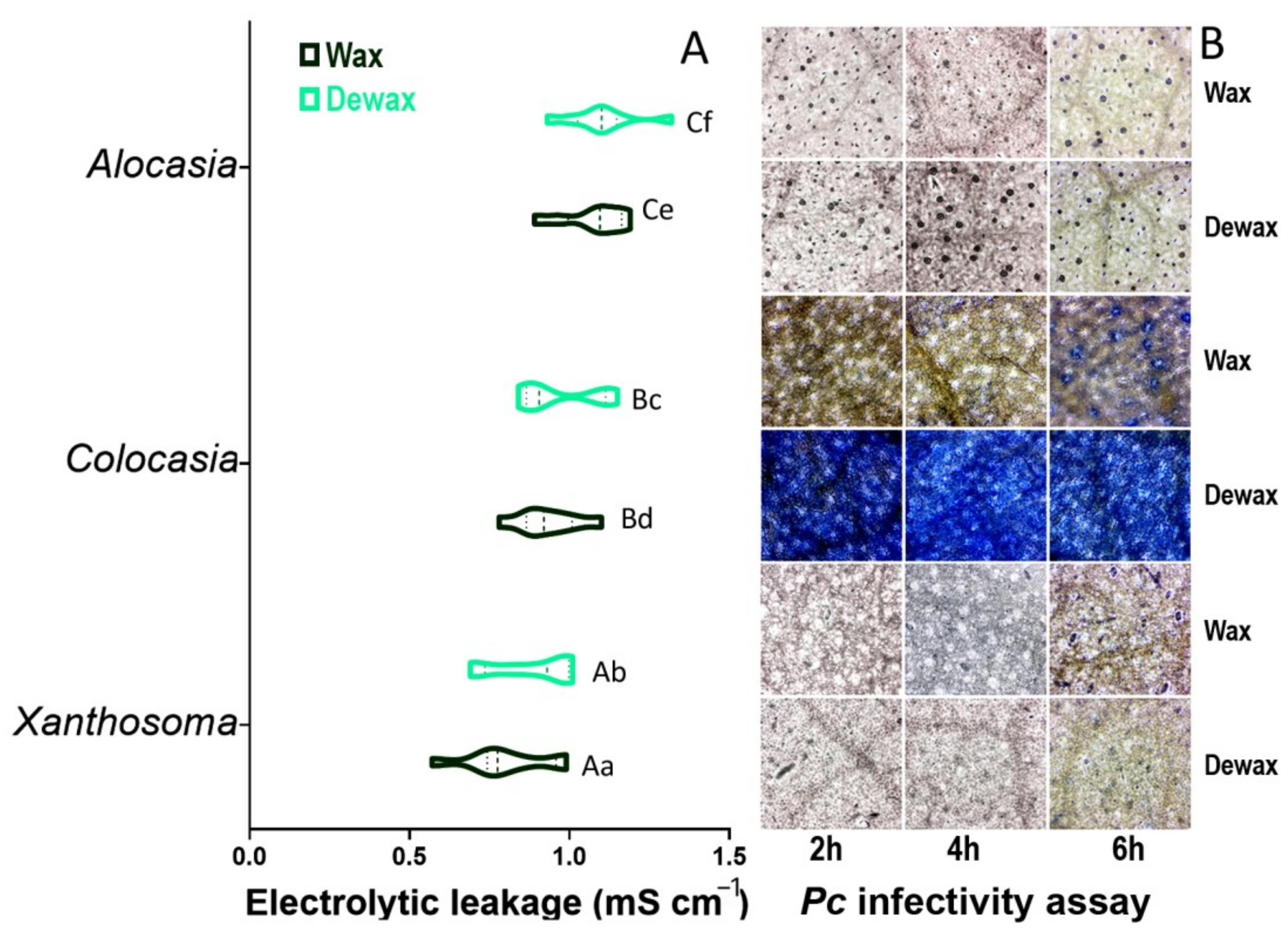 Agriculture 12 00724 g007