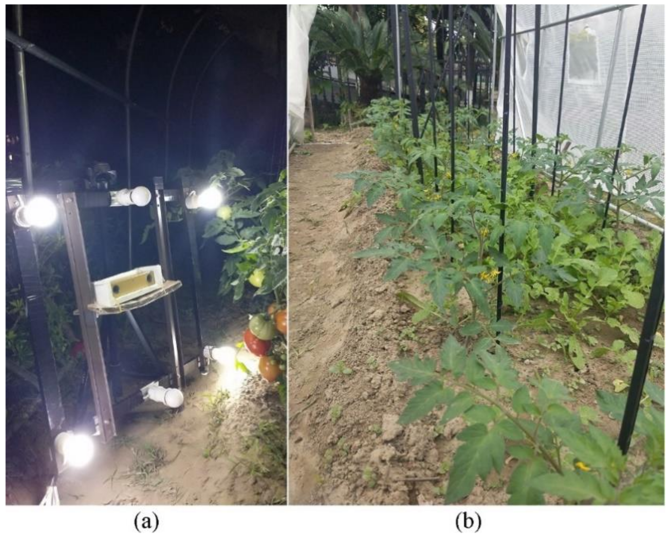 Agriculture 12 00743 g001