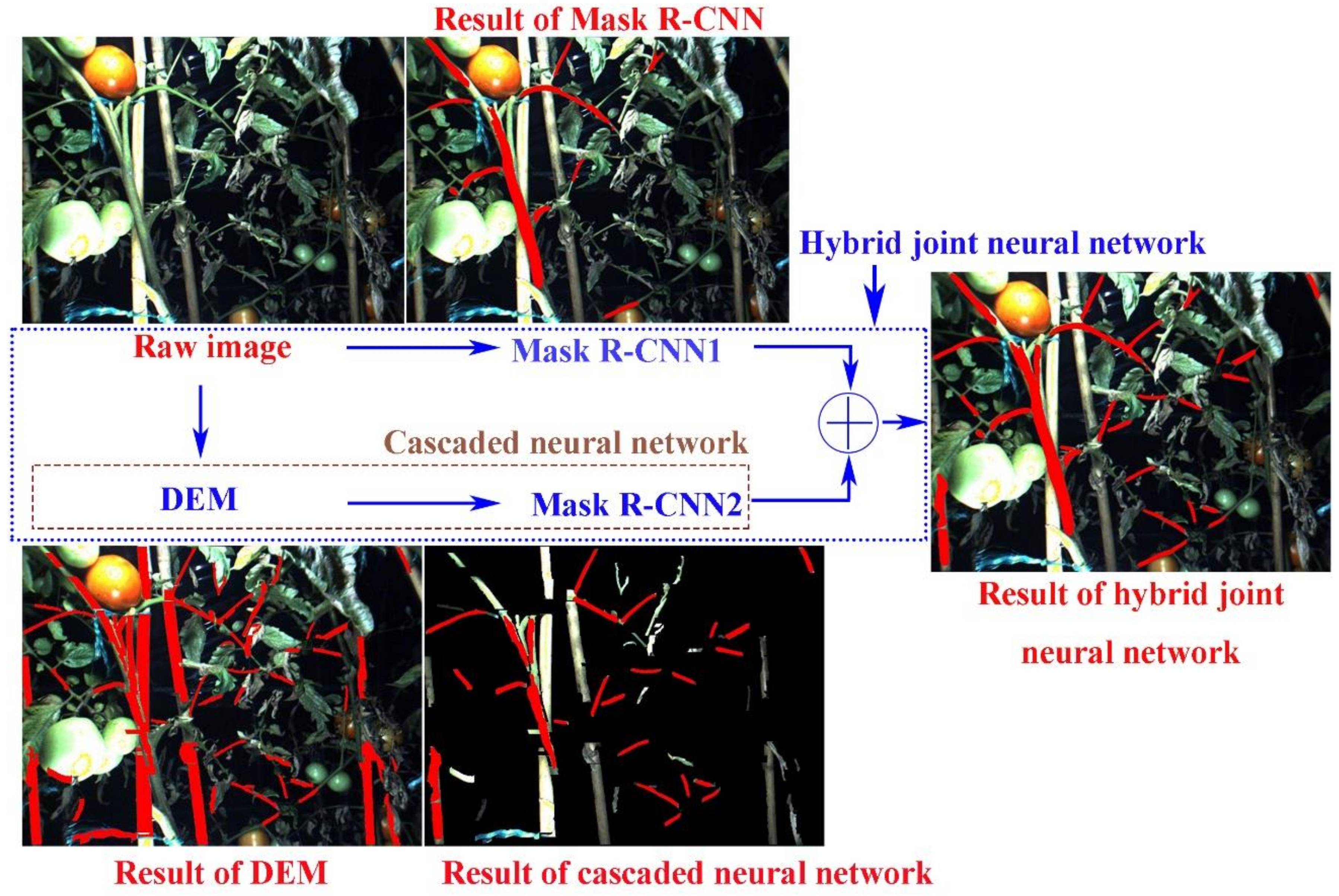 Agriculture 12 00743 g002