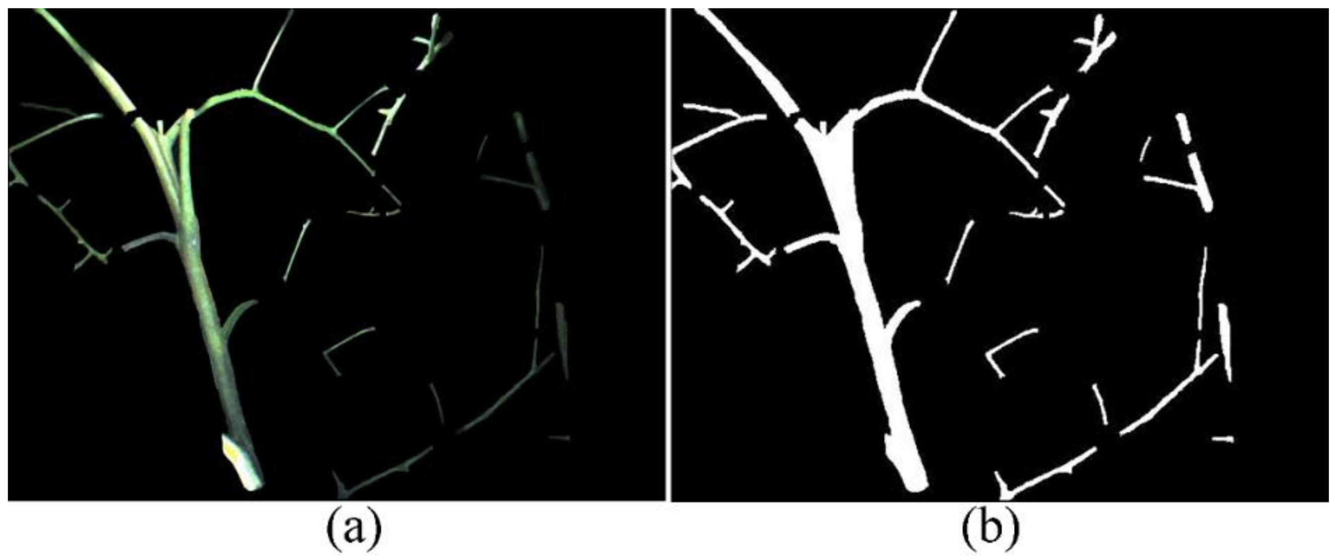 Agriculture 12 00743 g006