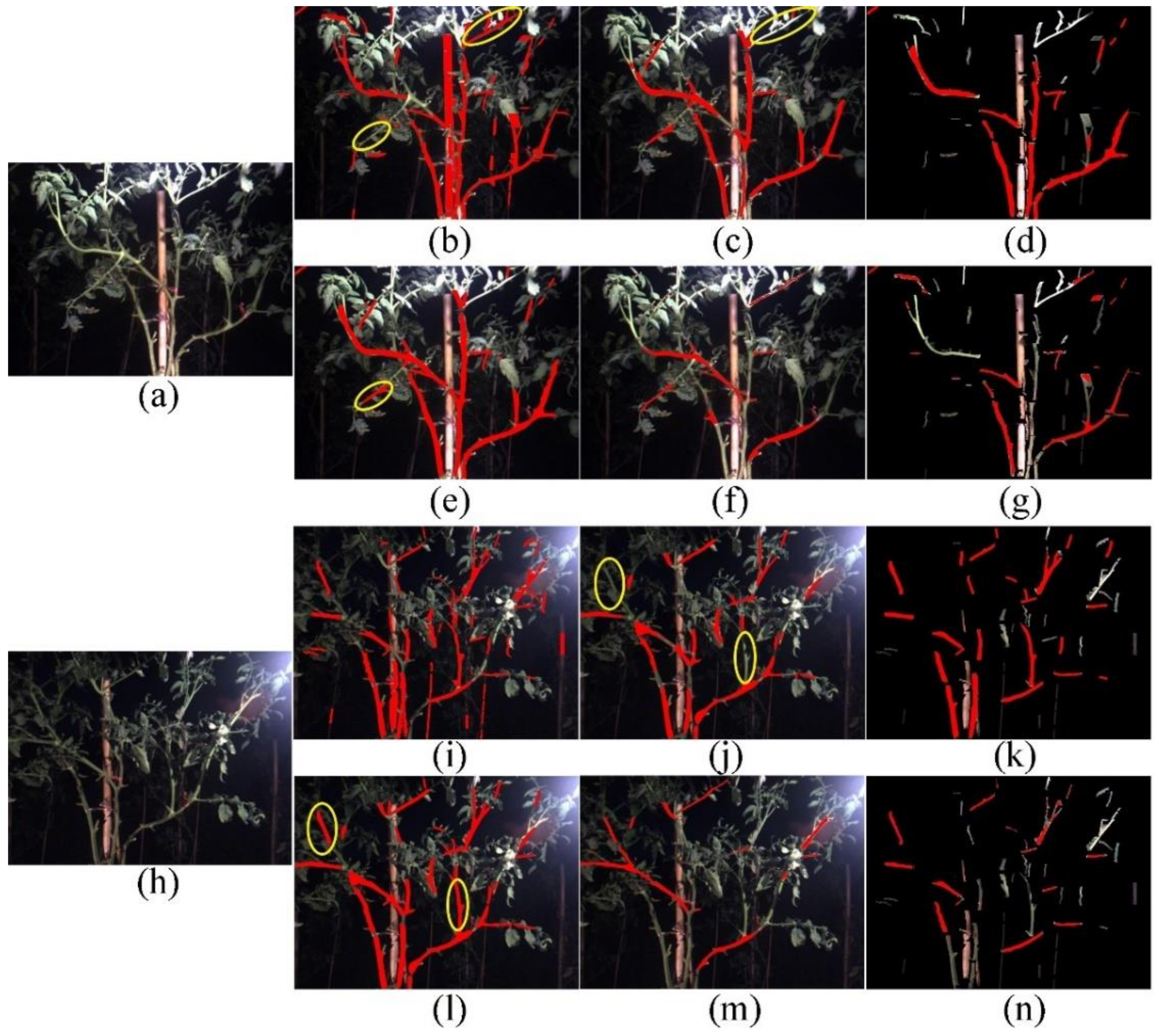 Agriculture 12 00743 g008