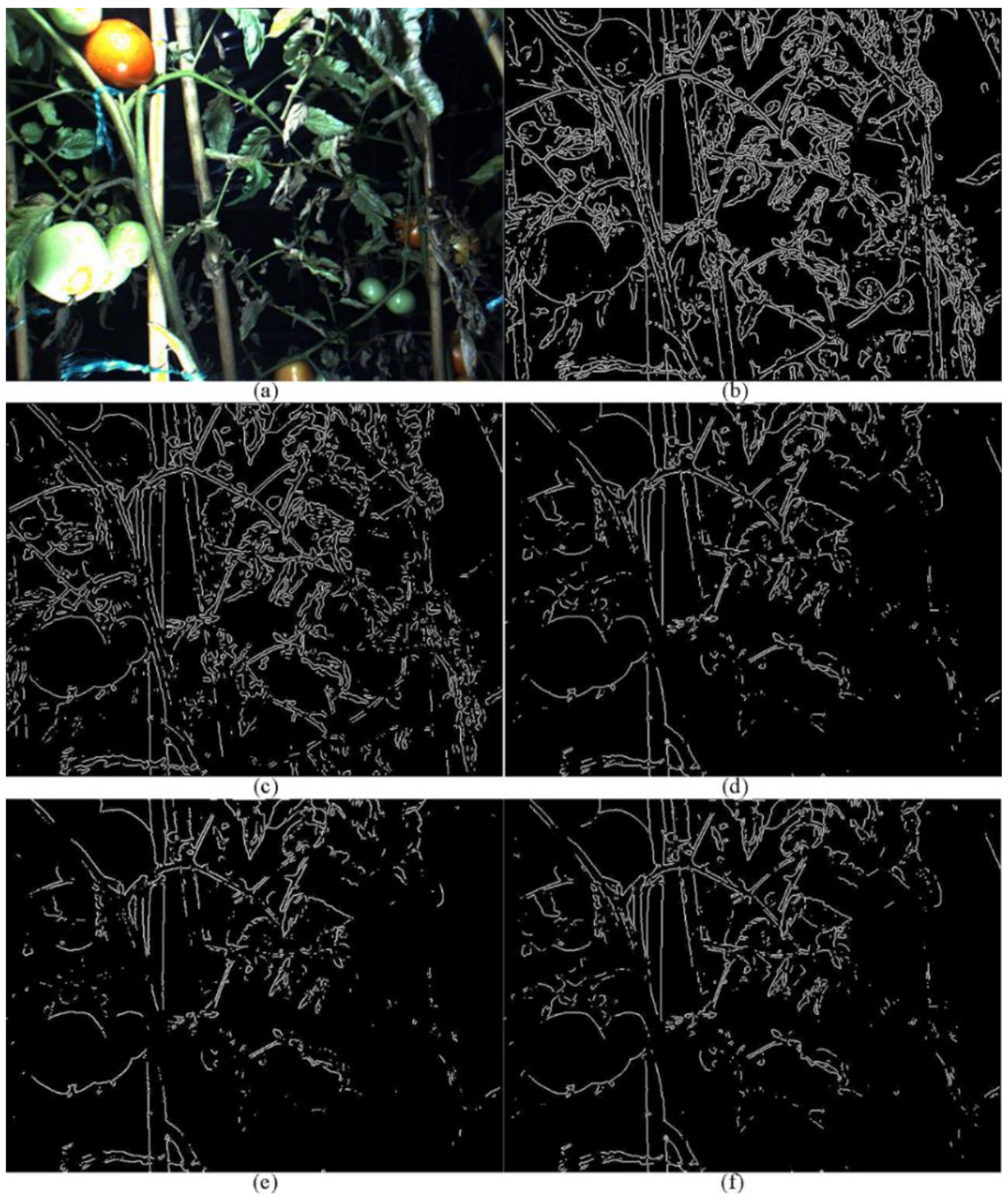 Agriculture 12 00743 g0a2