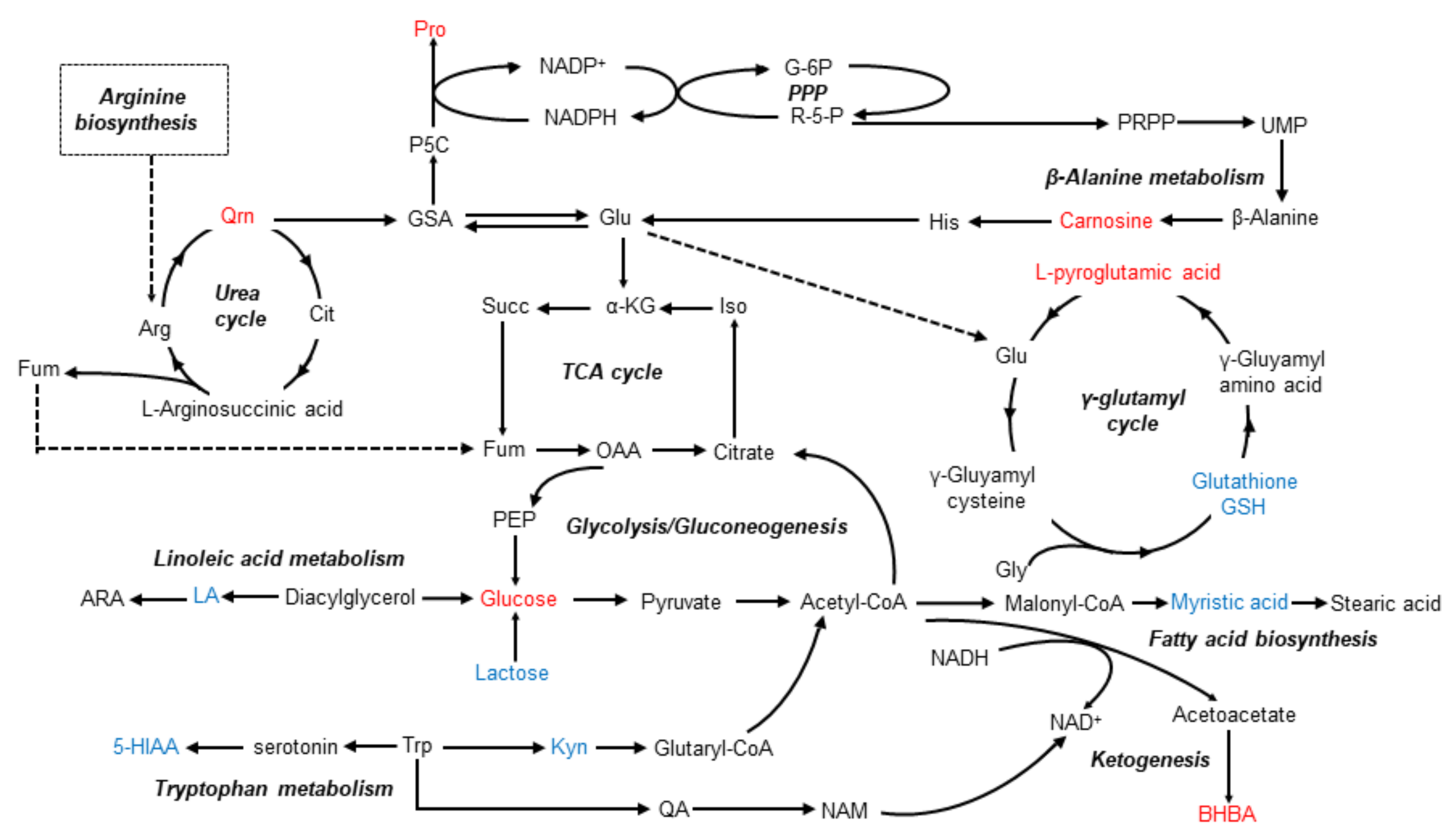 Agriculture 12 00744 g004