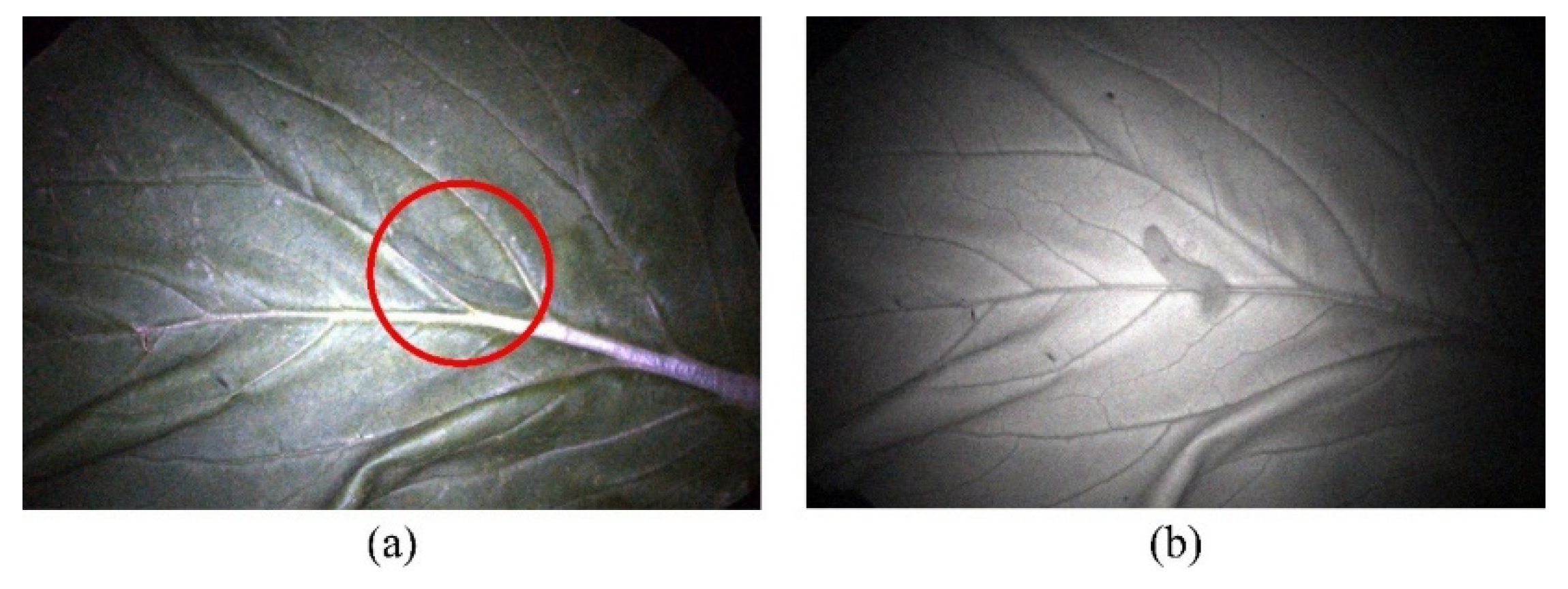 Agriculture 12 00766 g001