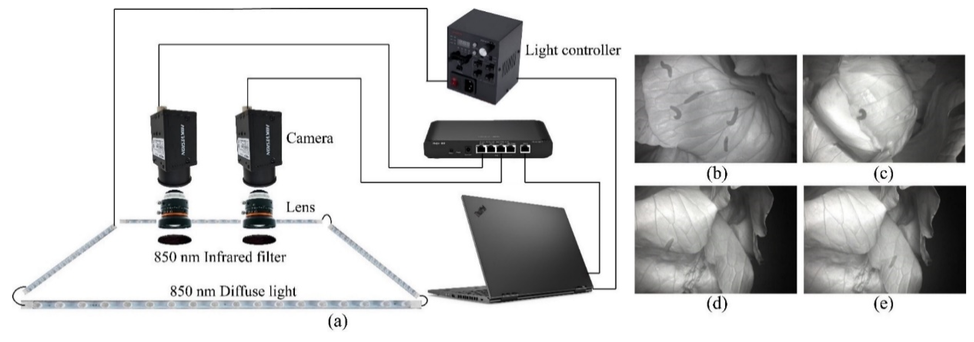 Agriculture 12 00766 g002