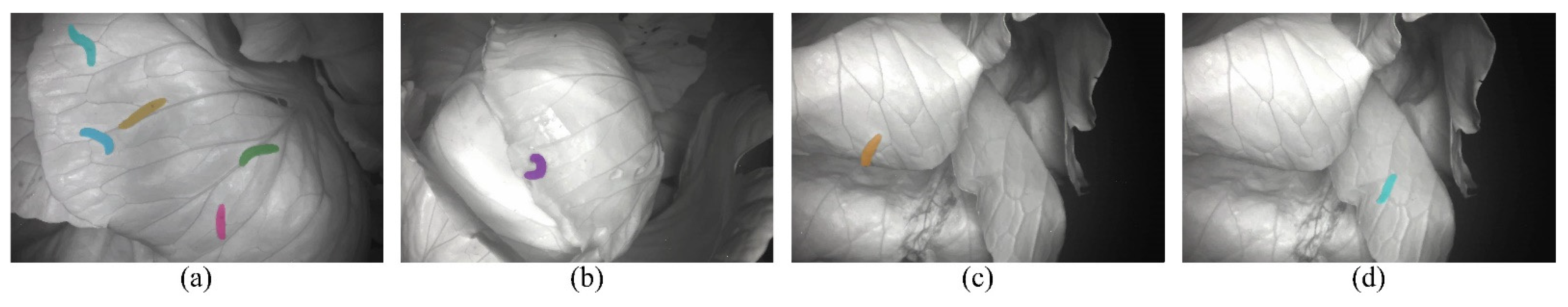 Agriculture 12 00766 g005