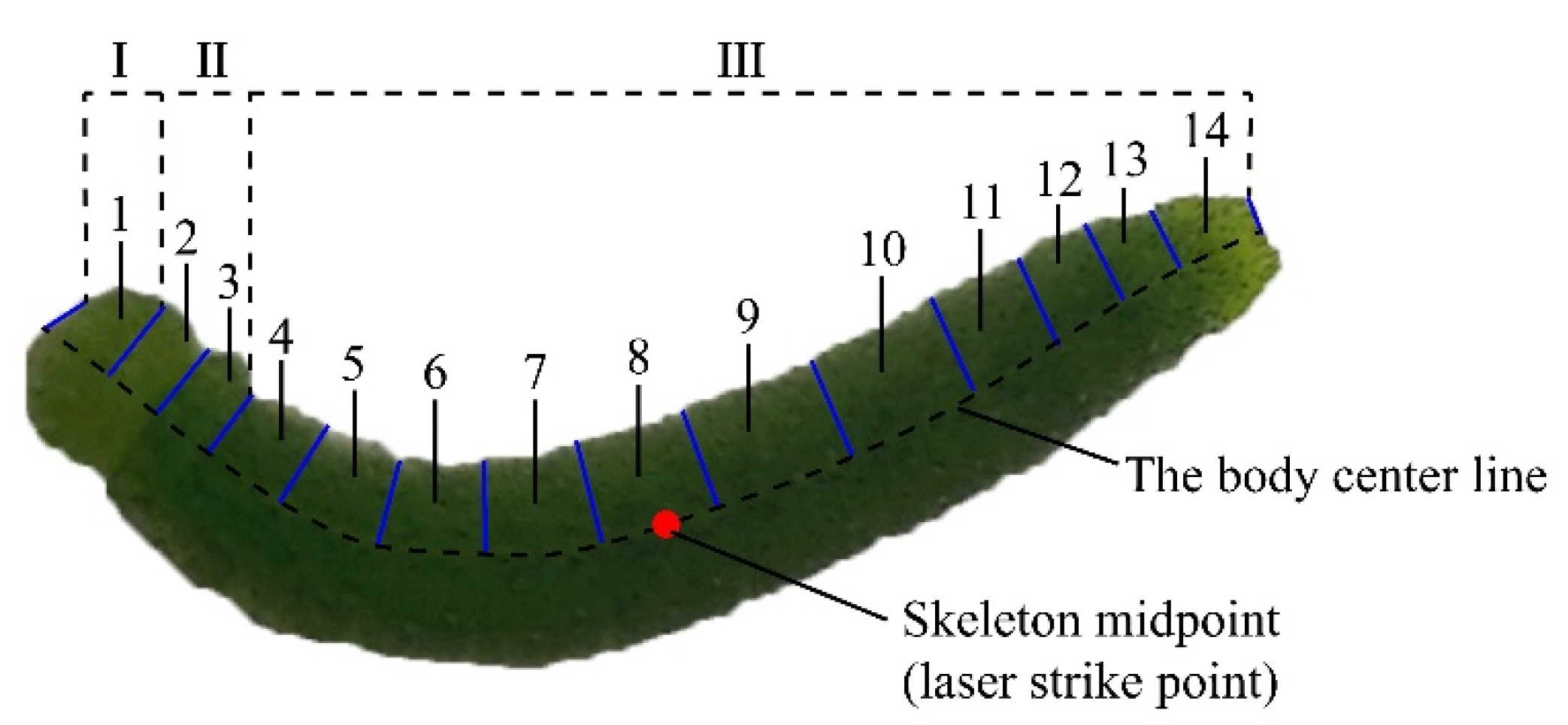 Agriculture 12 00766 g006
