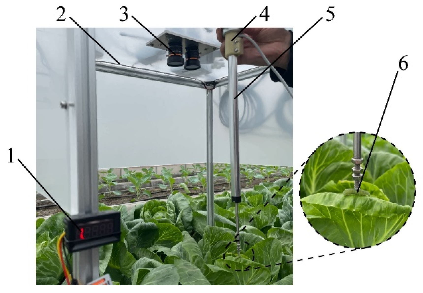 Agriculture 12 00766 g015