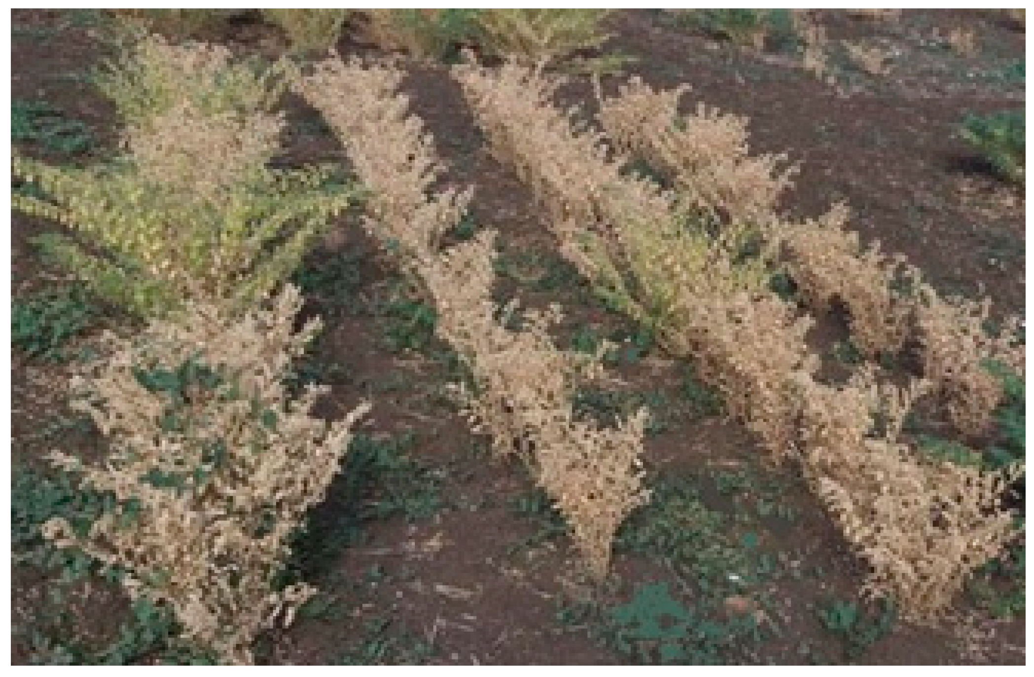 Agriculture 12 00773 g003