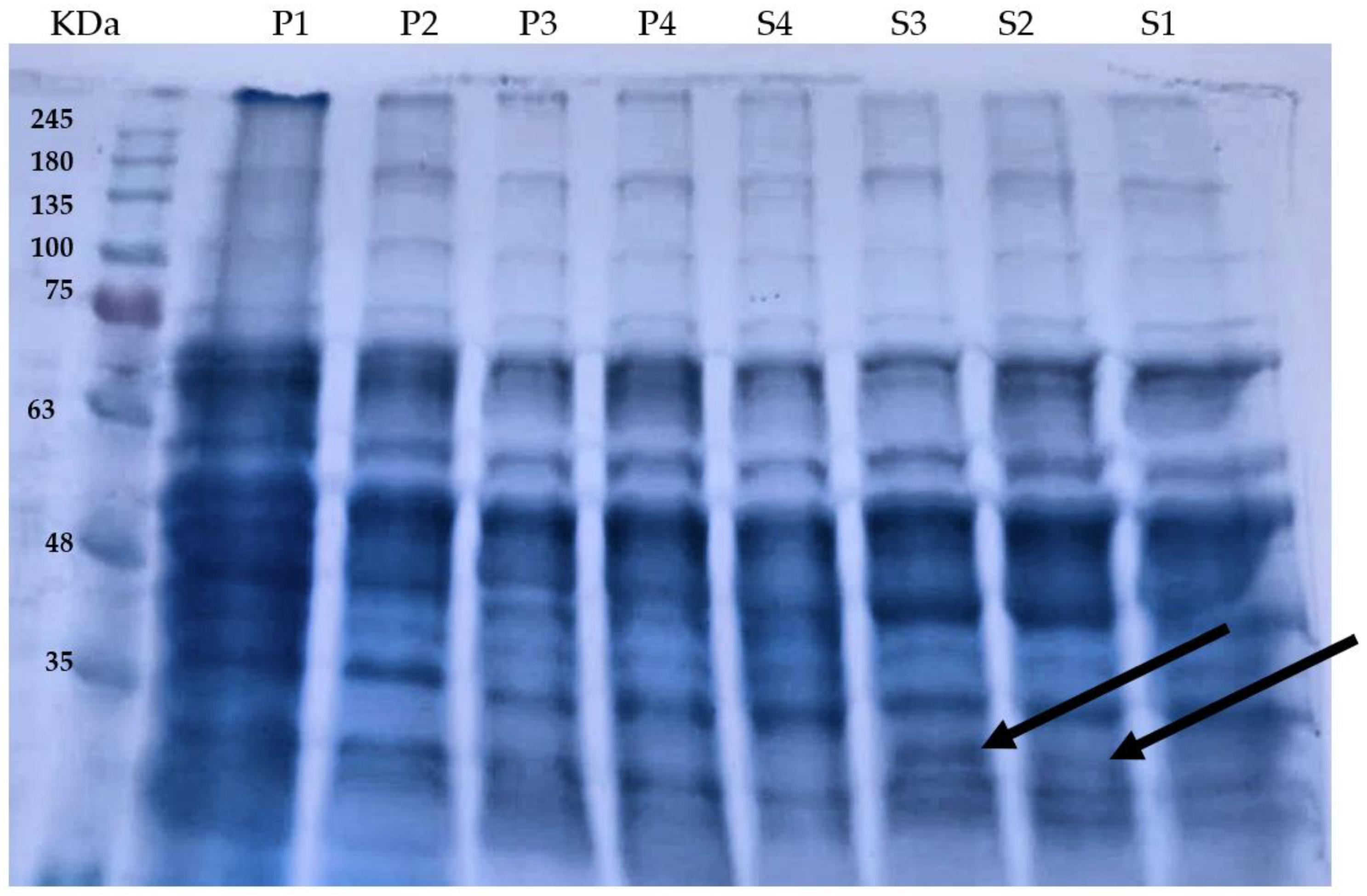 Agriculture 12 00781 g004