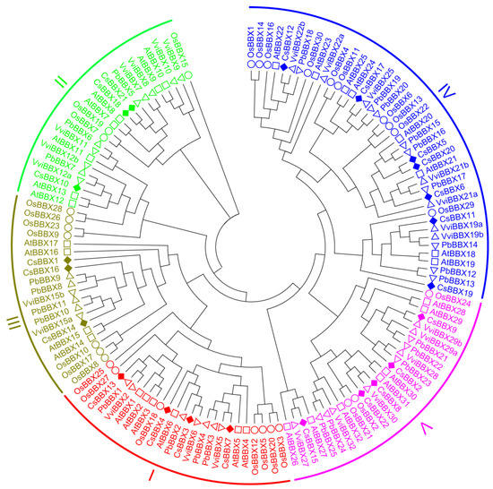 Agriculture | Free Full-Text | Genome-Wide Survey and Expression ...