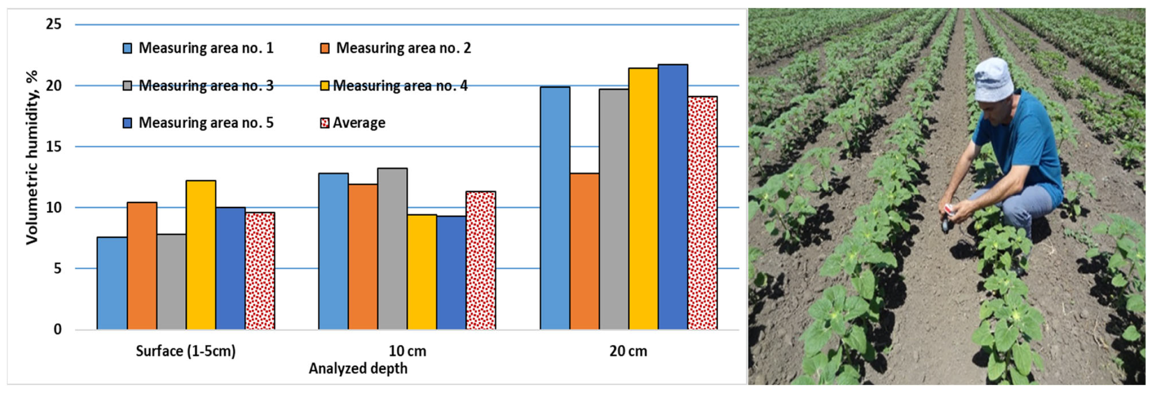 Agriculture 12 00846 g013