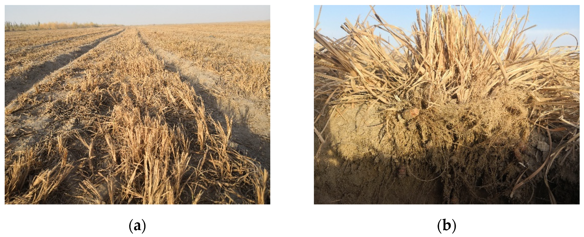 Agriculture 12 00862 g009