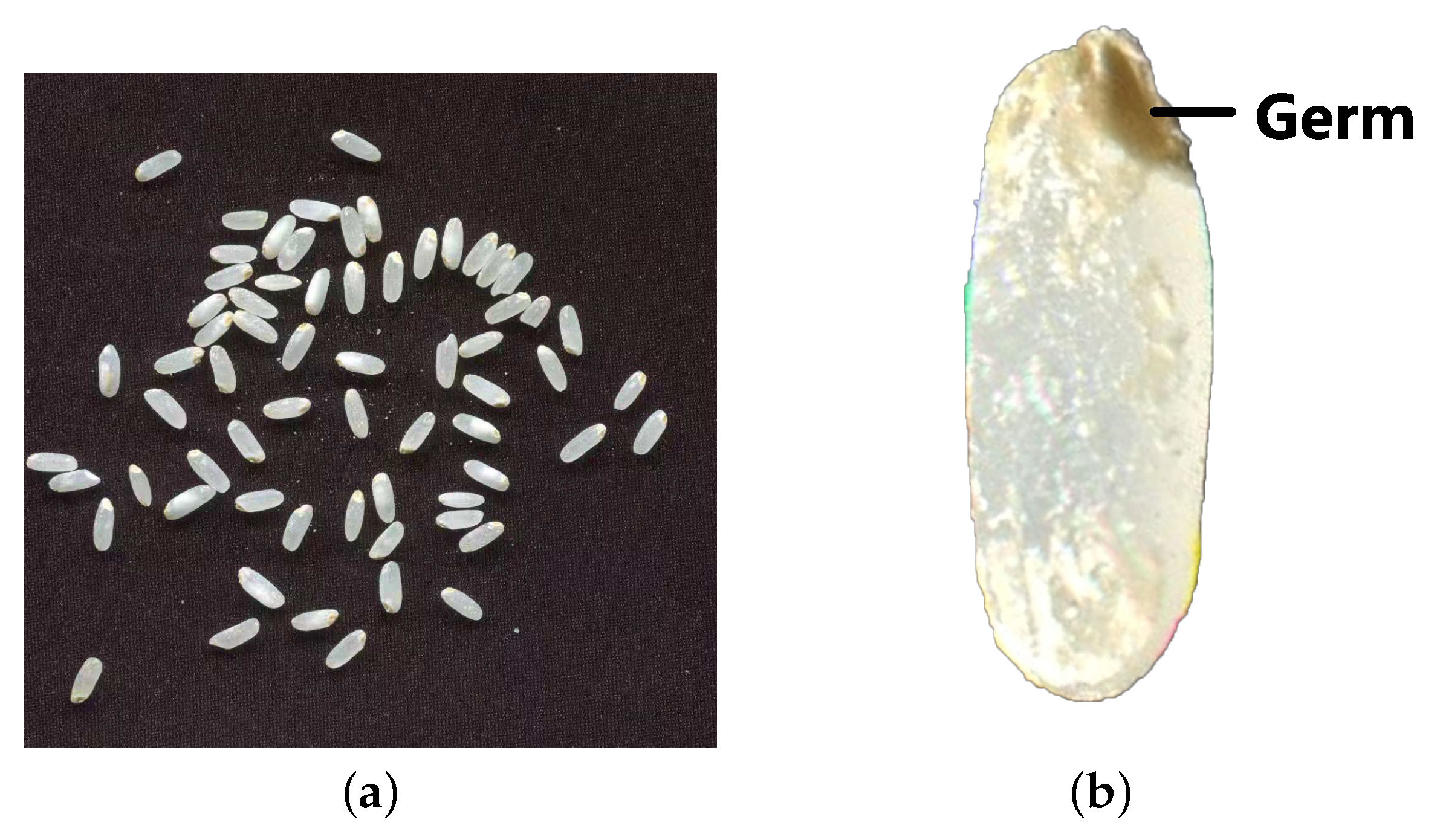 Agriculture 12 00863 g002