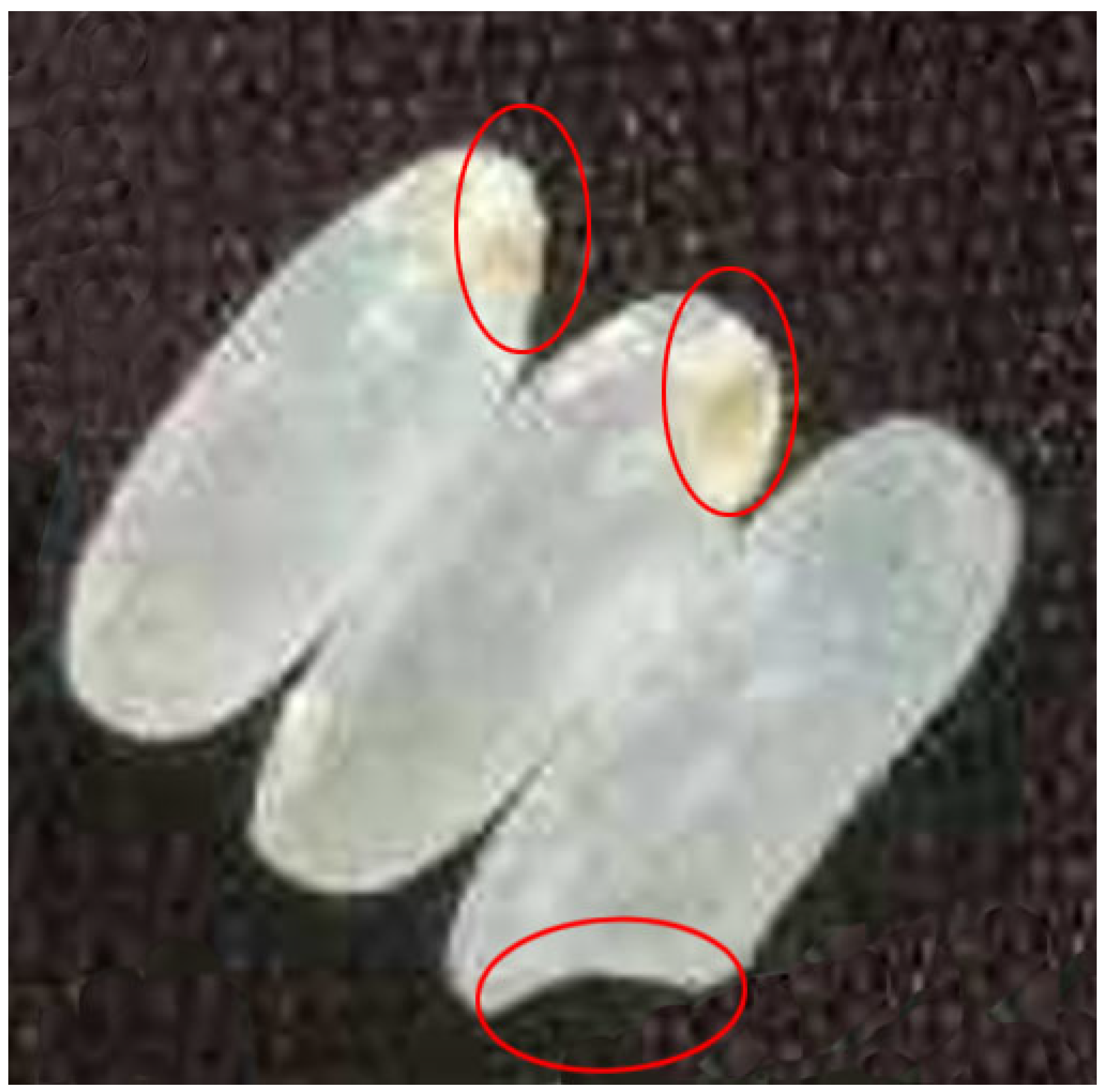 Agriculture 12 00863 g004