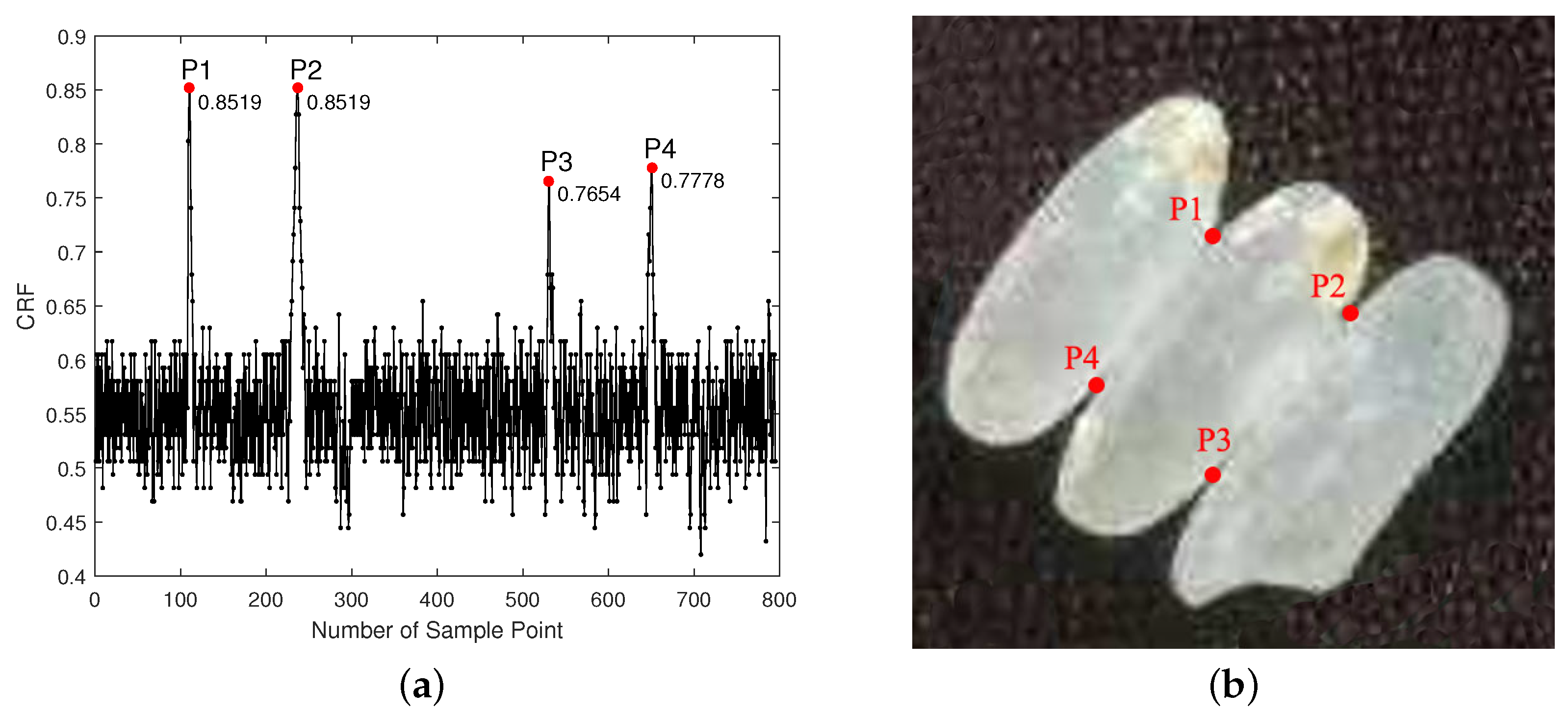 Agriculture 12 00863 g005