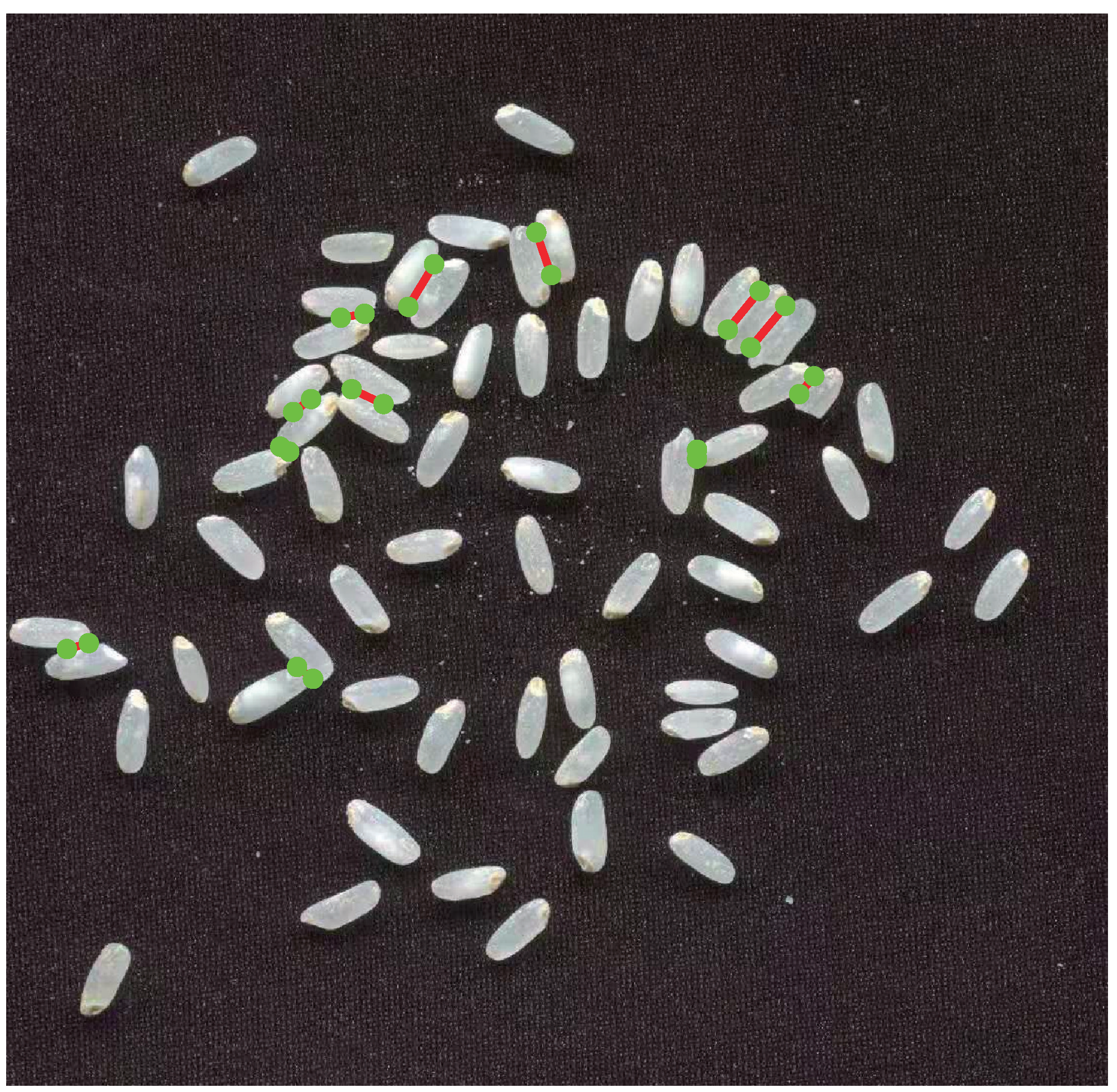 Agriculture 12 00863 g006