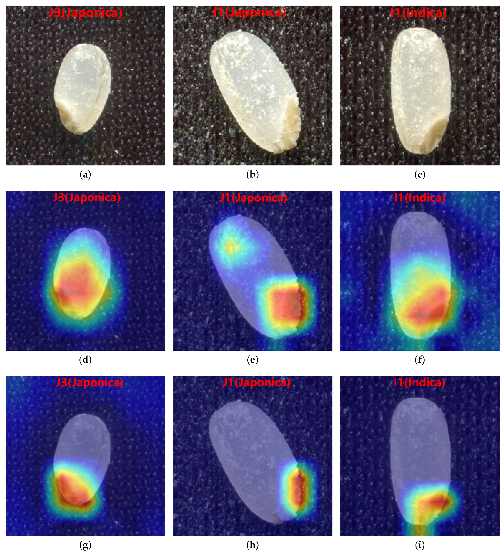 Agriculture 12 00863 g013