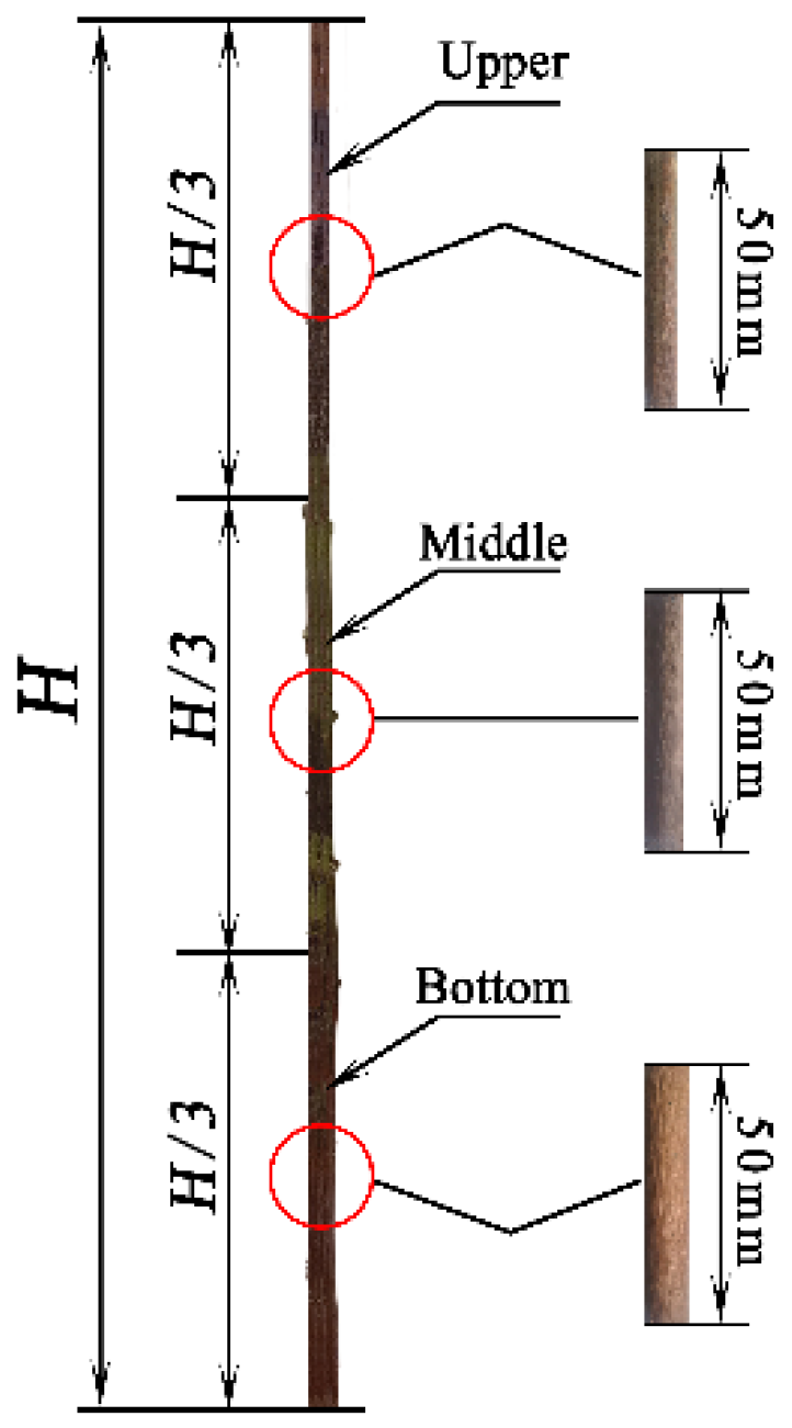 Agriculture 12 00906 g002
