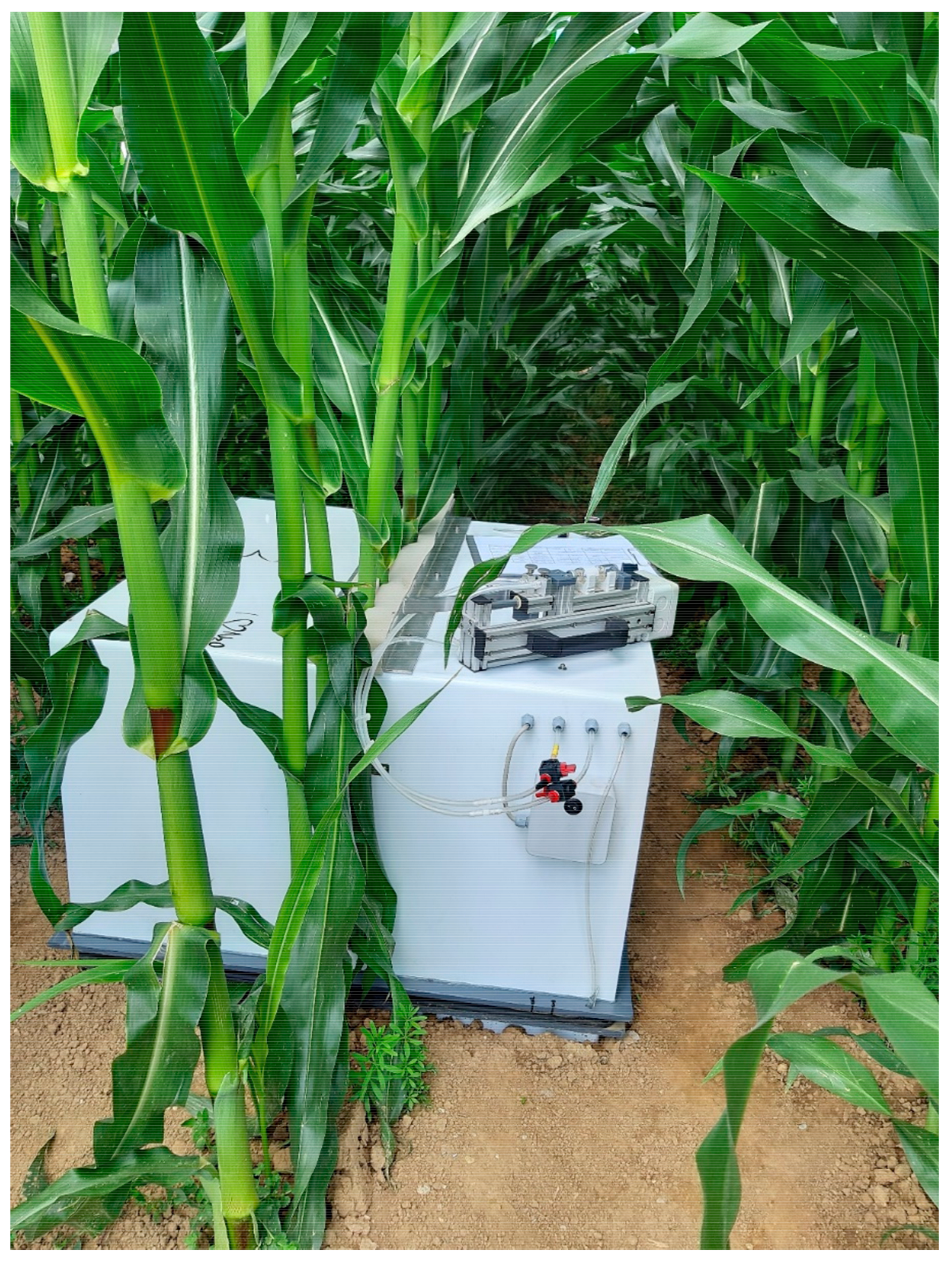 Agriculture | Free Full-Text | Effects of Organic Maize Cropping Systems on  Nitrogen Balances and Nitrous Oxide Emissions | HTML