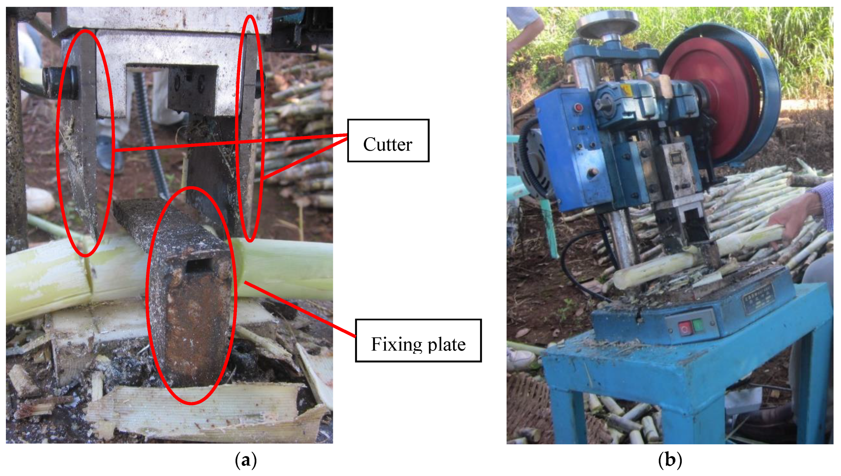 Agriculture 12 00908 g001